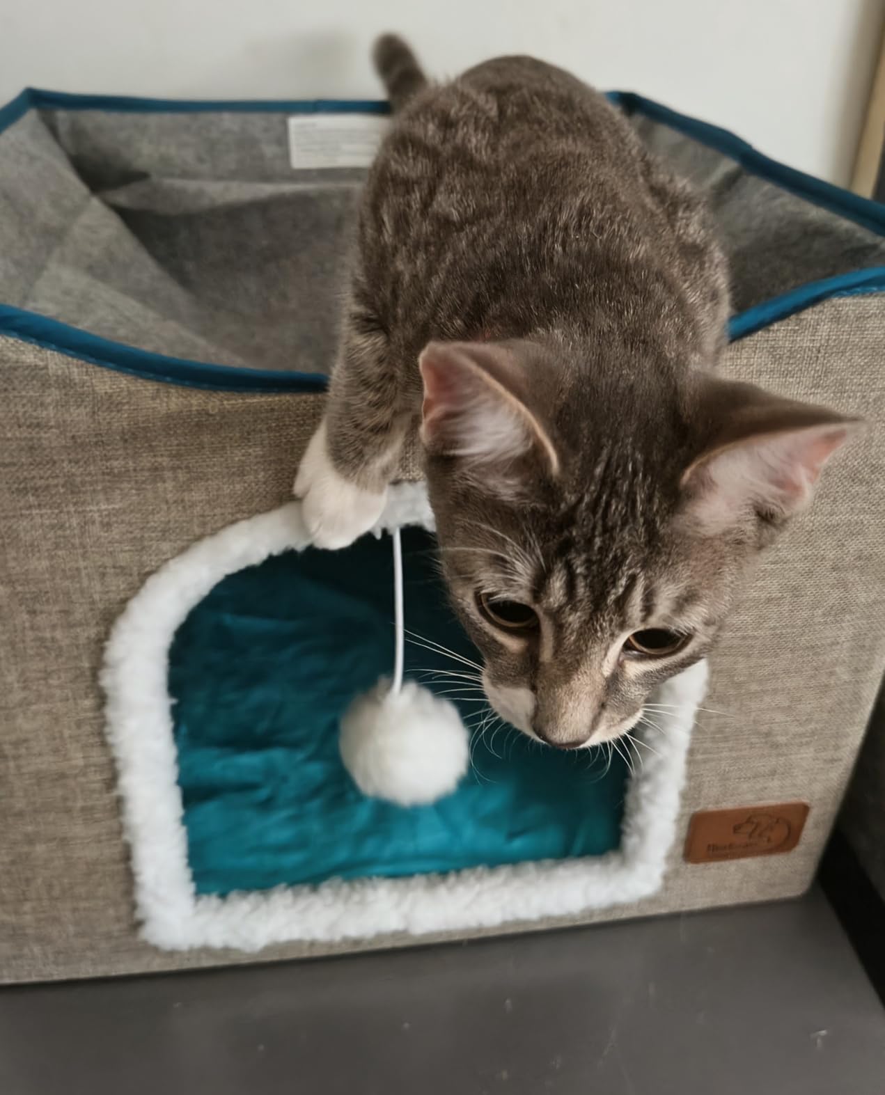 Bedsure 3-Level Cat Tree for Indoor Cats with Scratching Post,Grey customer photo 2
