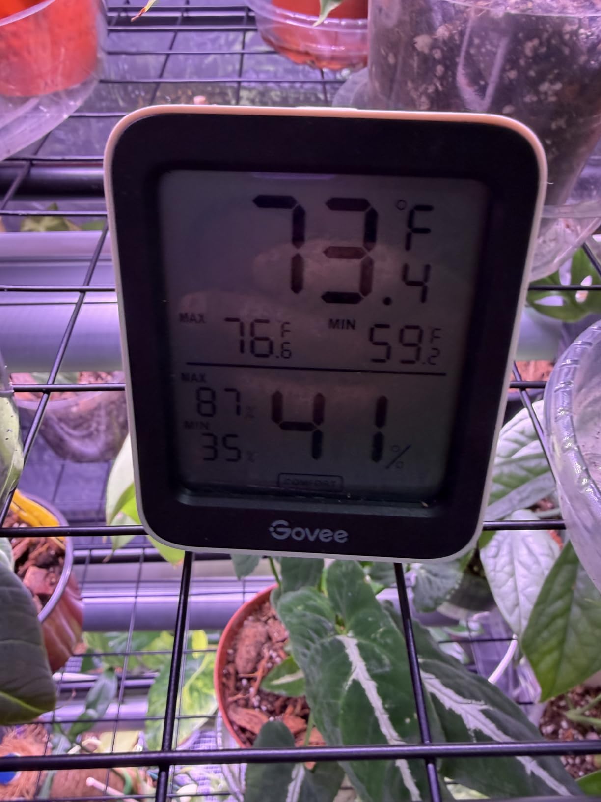 Indoor Greenhouse with Grow Light, 2-Tier Plant Stand, 27x19x35in customer photo 1