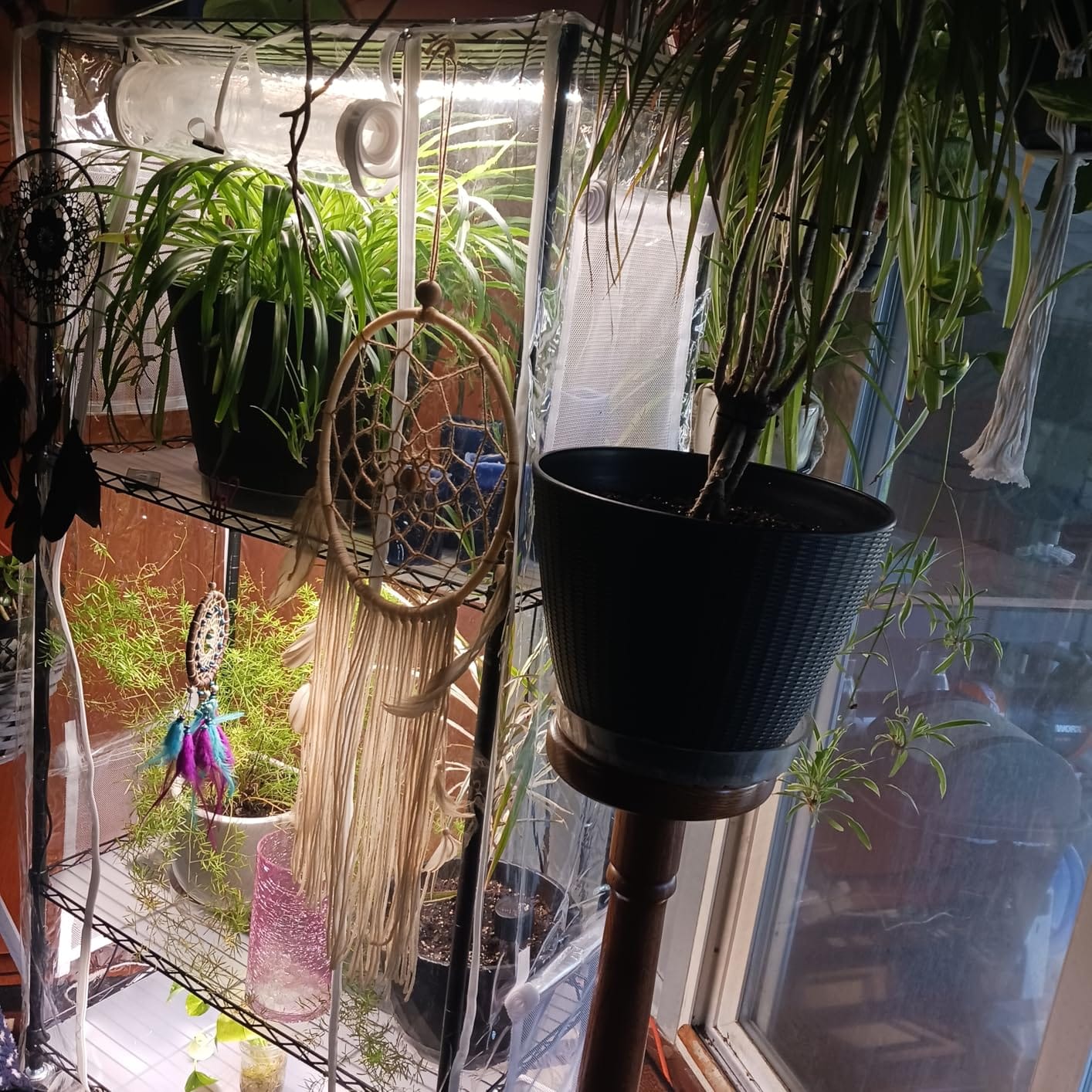 Indoor Greenhouse with Grow Light, 2-Tier Plant Stand, 27x19x35in customer photo 2