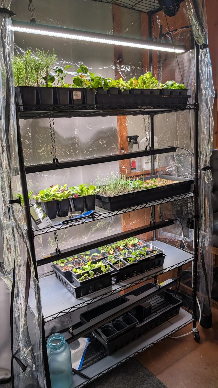 Barrina LP1200 Indoor Greenhouse with Grow Light, 5 Tier Stand with Tent customer photo 1