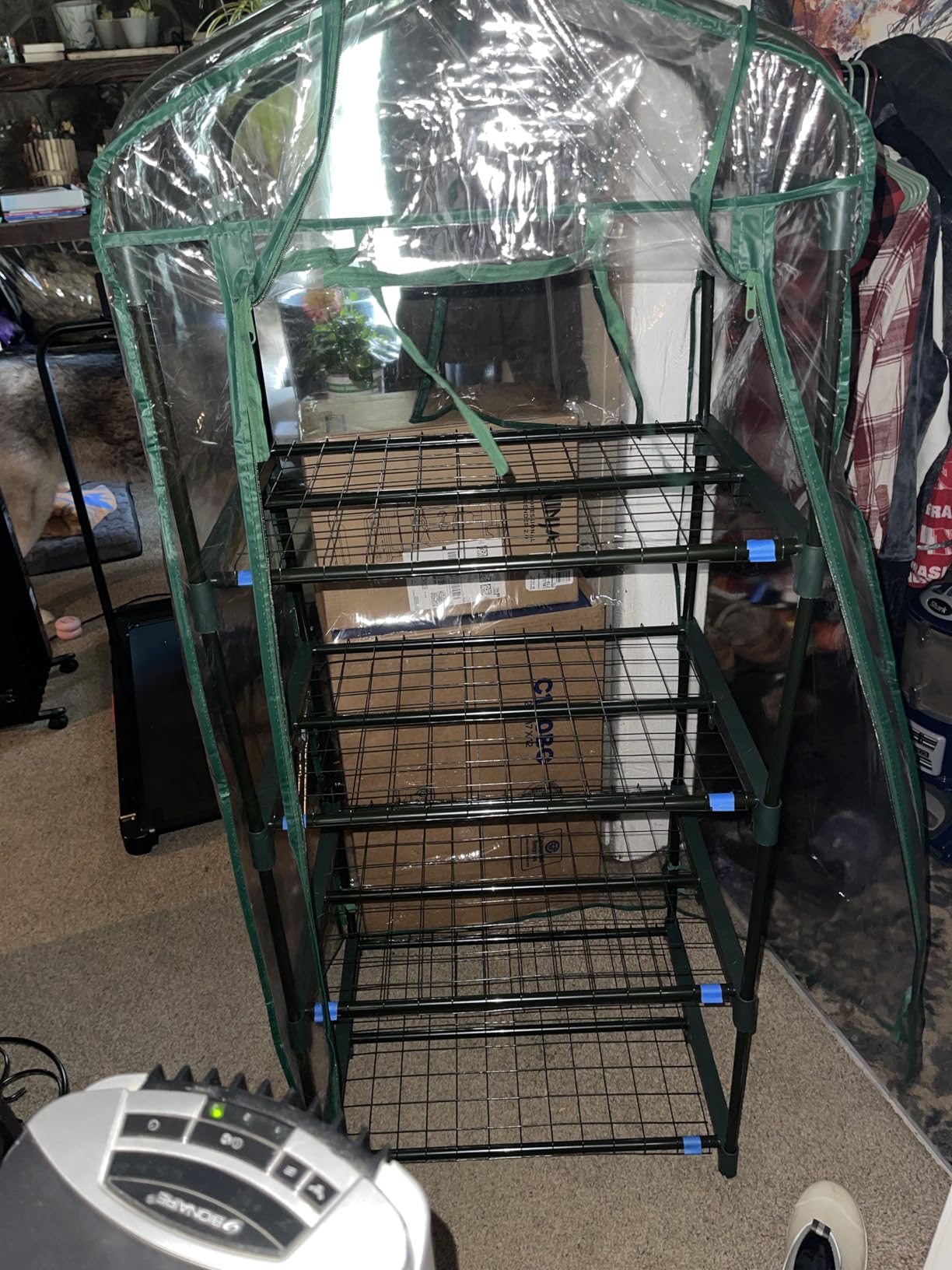 Miracle-Gro 4-Tier Greenhouse, Removable Shelves, Clear, 23