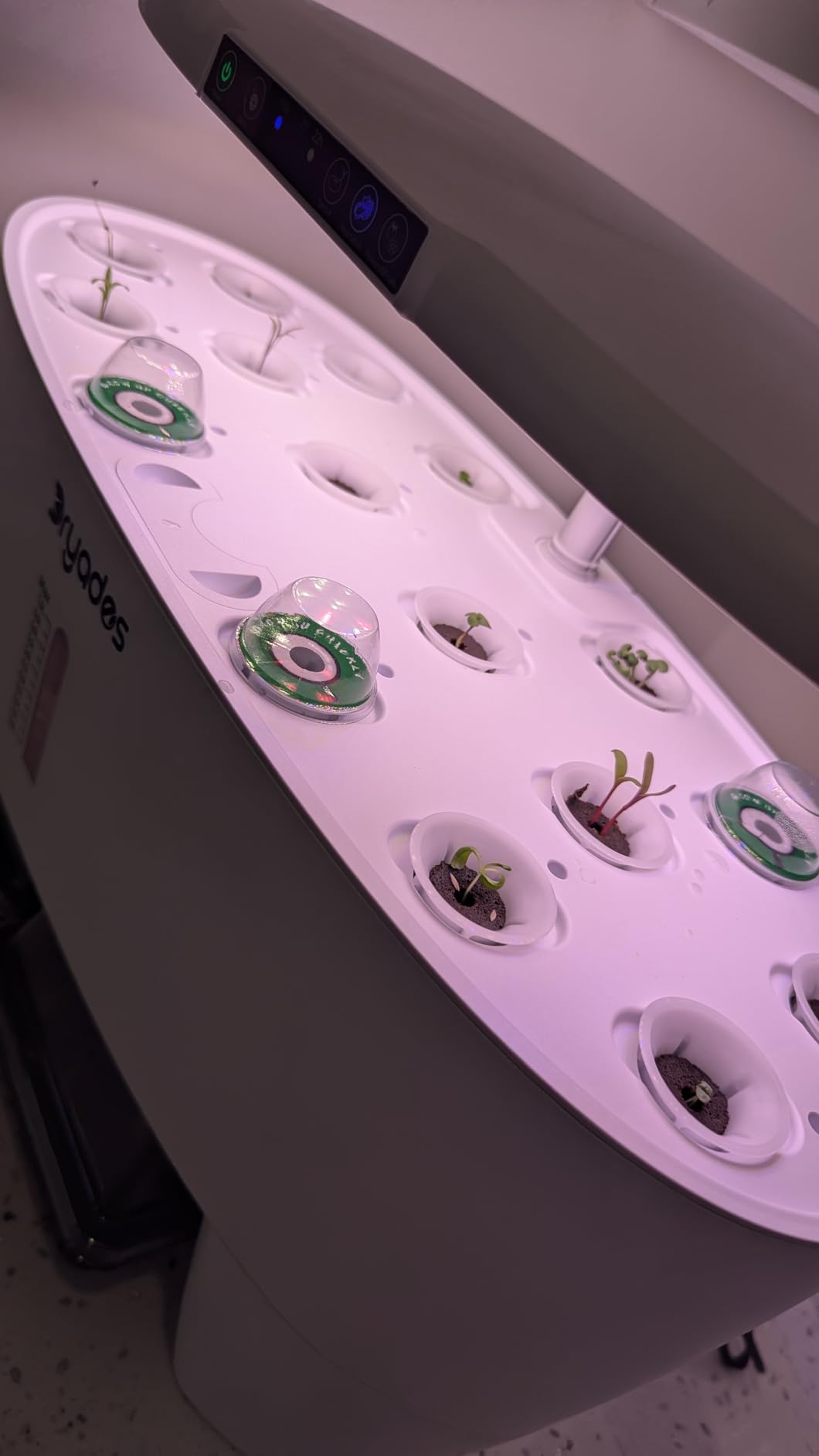 Indoor Hydroponic Growing System with 81 Pods Herbs Garden Kit with 30W Led Grow Light Large Movable 3-Layer Floor-Standing Hydroponic Gardening System for Vegetable Fruit customer photo 2