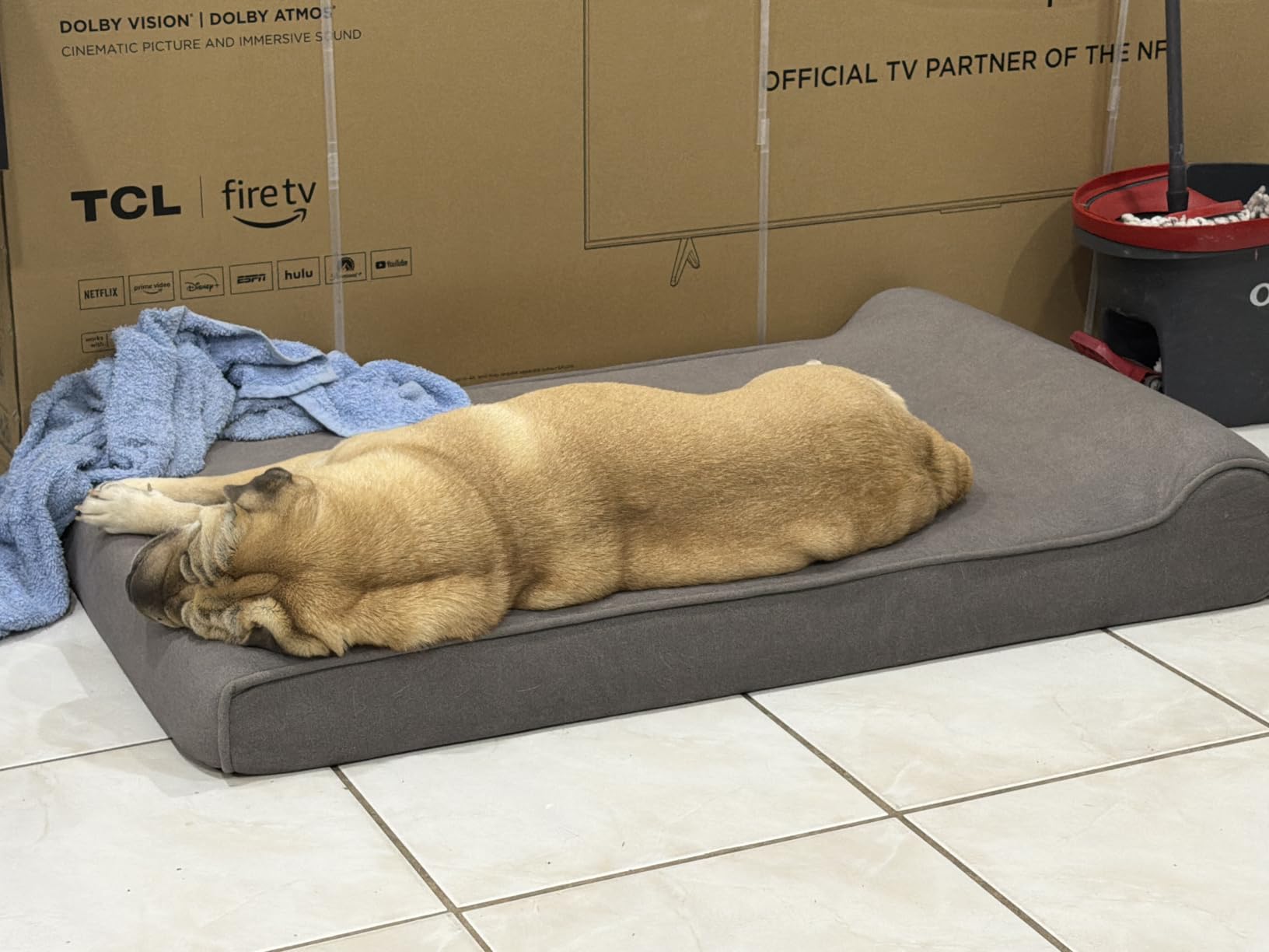 Sytopia Orthopedic Dog Beds for Extra Large Dogs, 7