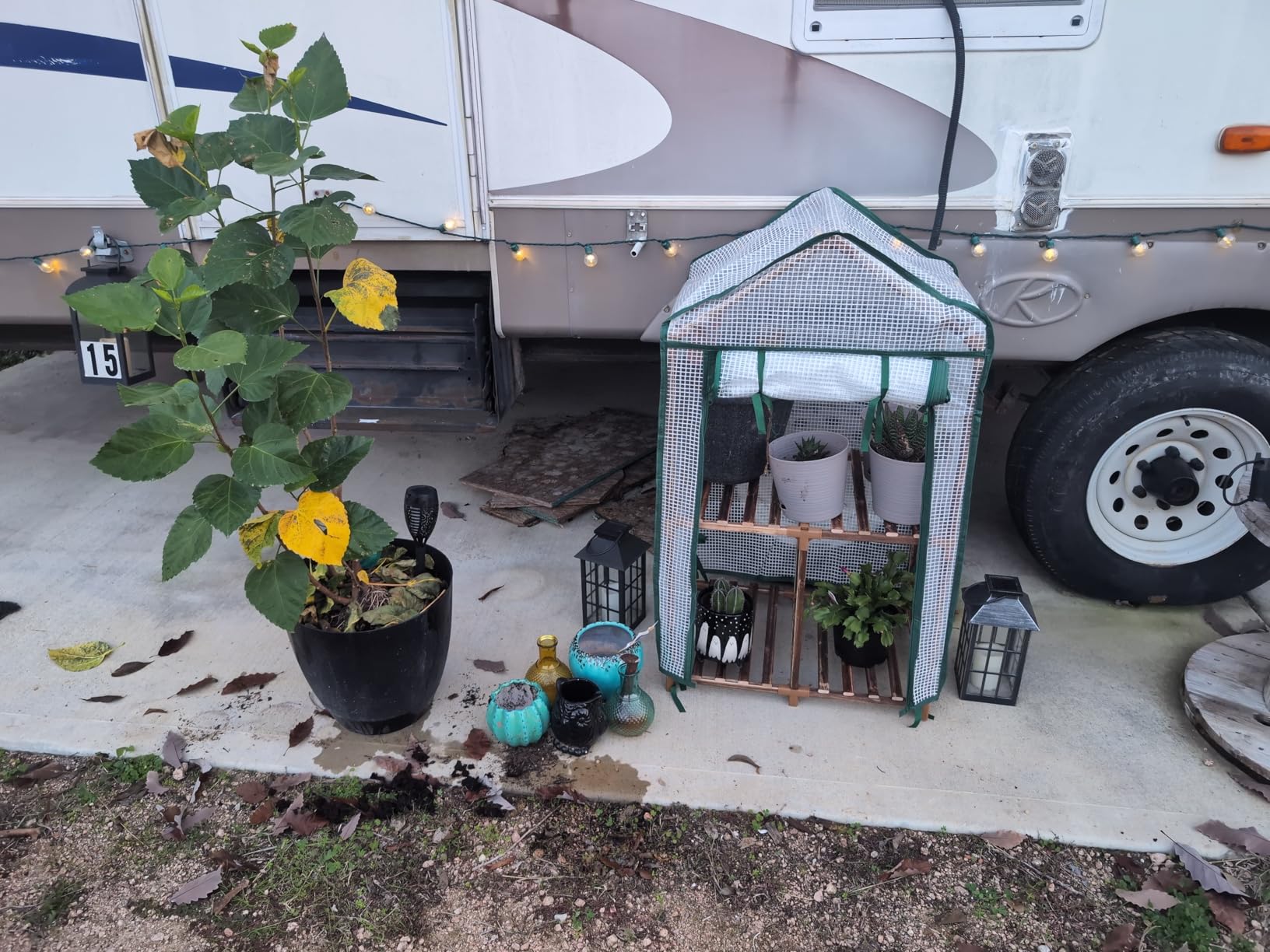 Bamworld 2-Tier Mini Greenhouse 15-Min Setup Outdoor 23x17x38-Inch customer photo 1