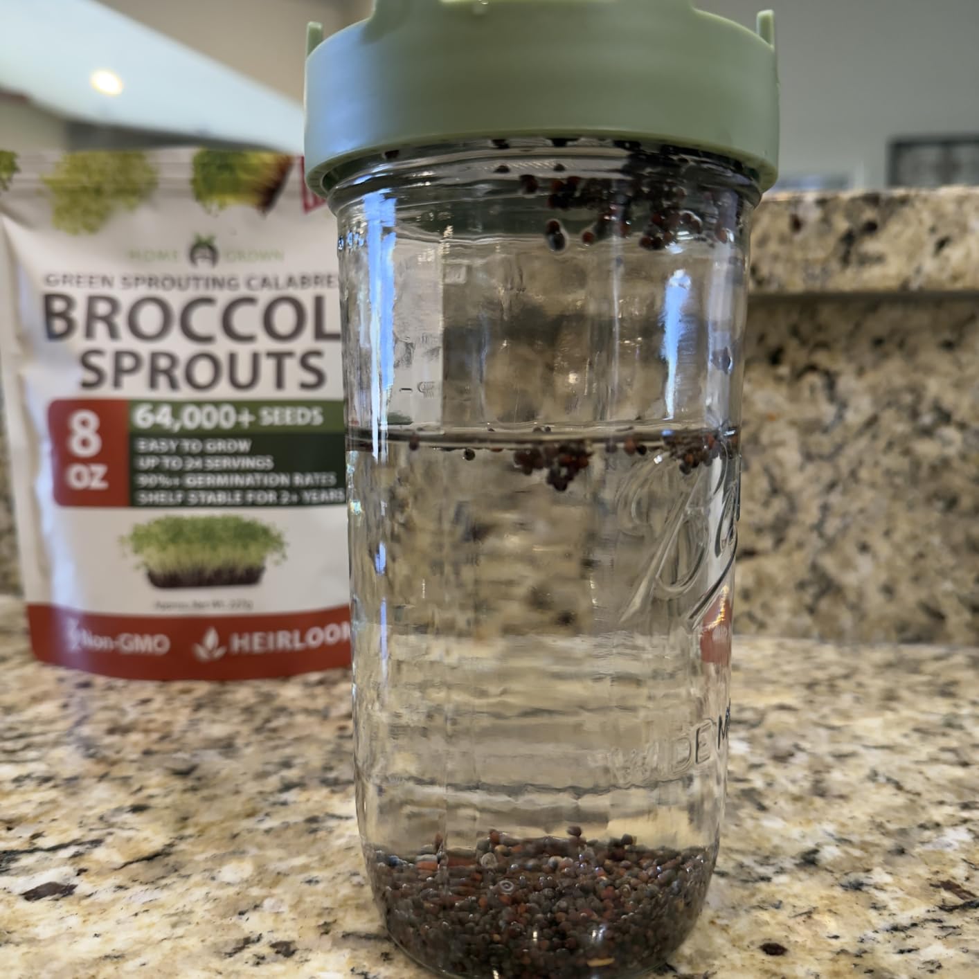 Elementi Sprouting Jar Kit - Set of 2 Wide Mouth Mason Jars with Sprout Lids & Stainless Steel Mesh Screen - Seed Sprouting Kit & Sprout Jars for Growing Broccoli Sprouts, Alfalfa, Mung Bean Sprouter customer photo 2