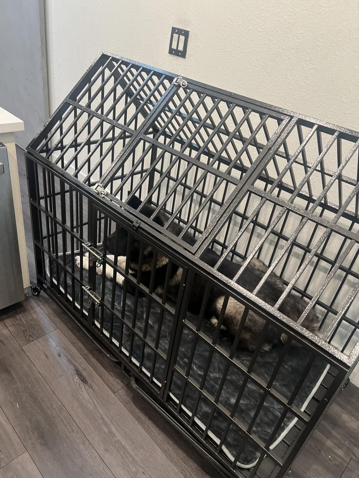 58 inch Heavy Duty Indestructible Dog Crate, New Upgraded Reinforced for Large Dogs,XXL Dog Crate for High Anxiety Dogs/Max Load Capacity 250lbs/Double Door with Wheels customer photo 2