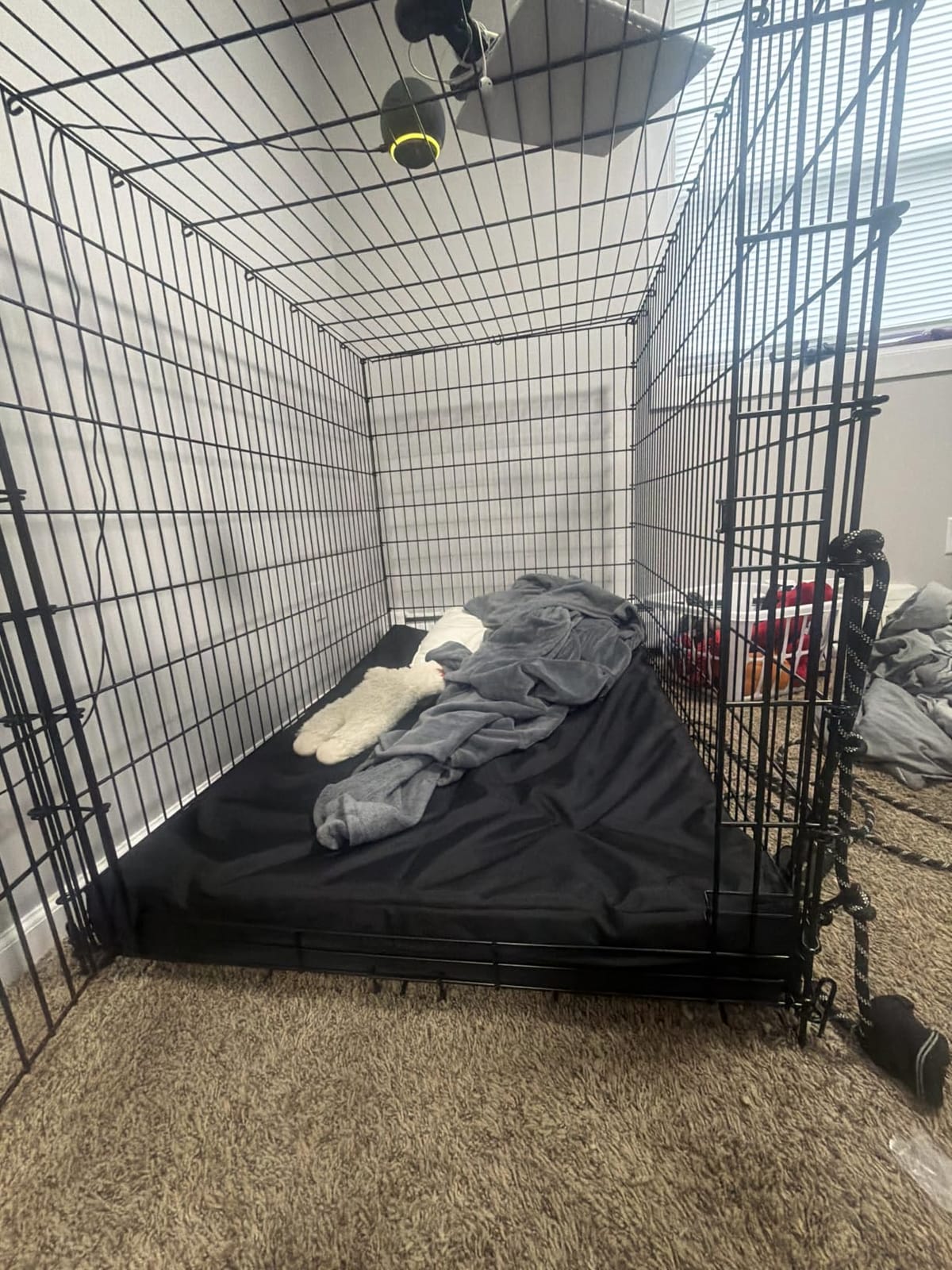 Orthopedic Waterproof Dog Bed for Small Dogs and Cats customer photo 2
