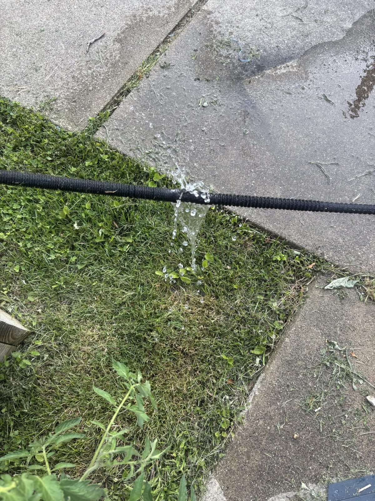 Flexi Hose Plus Expandable Garden Hose with 8 Function Nozzle, 50FT - Lightweight Retractable Garden Hose, Water Hose - No-Kink Flexibility, 3/4 Inch Solid Brass Fittings Includes Hook & Bag customer photo 2