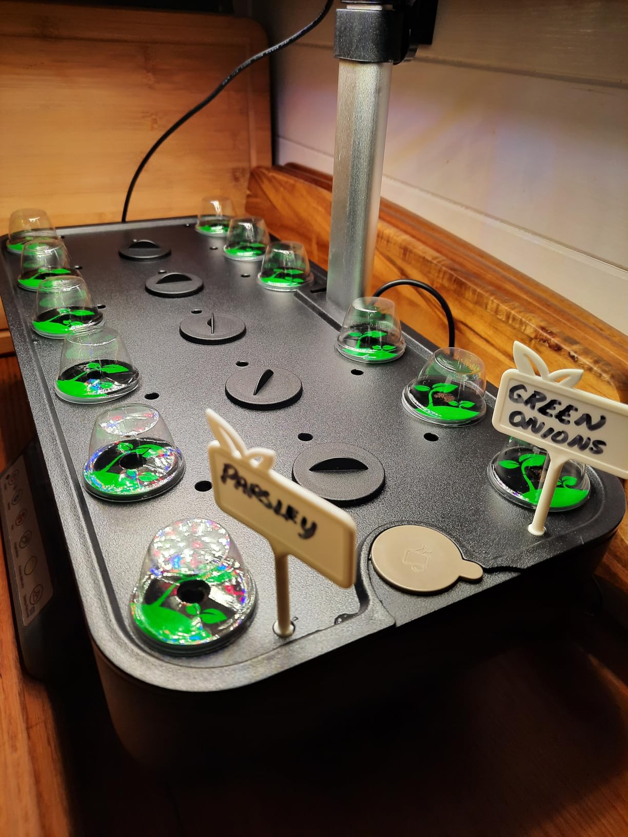 Growell 17 Pods Hydroponics Growing System Kit, Indoor Garden with 2 Fans customer photo 1
