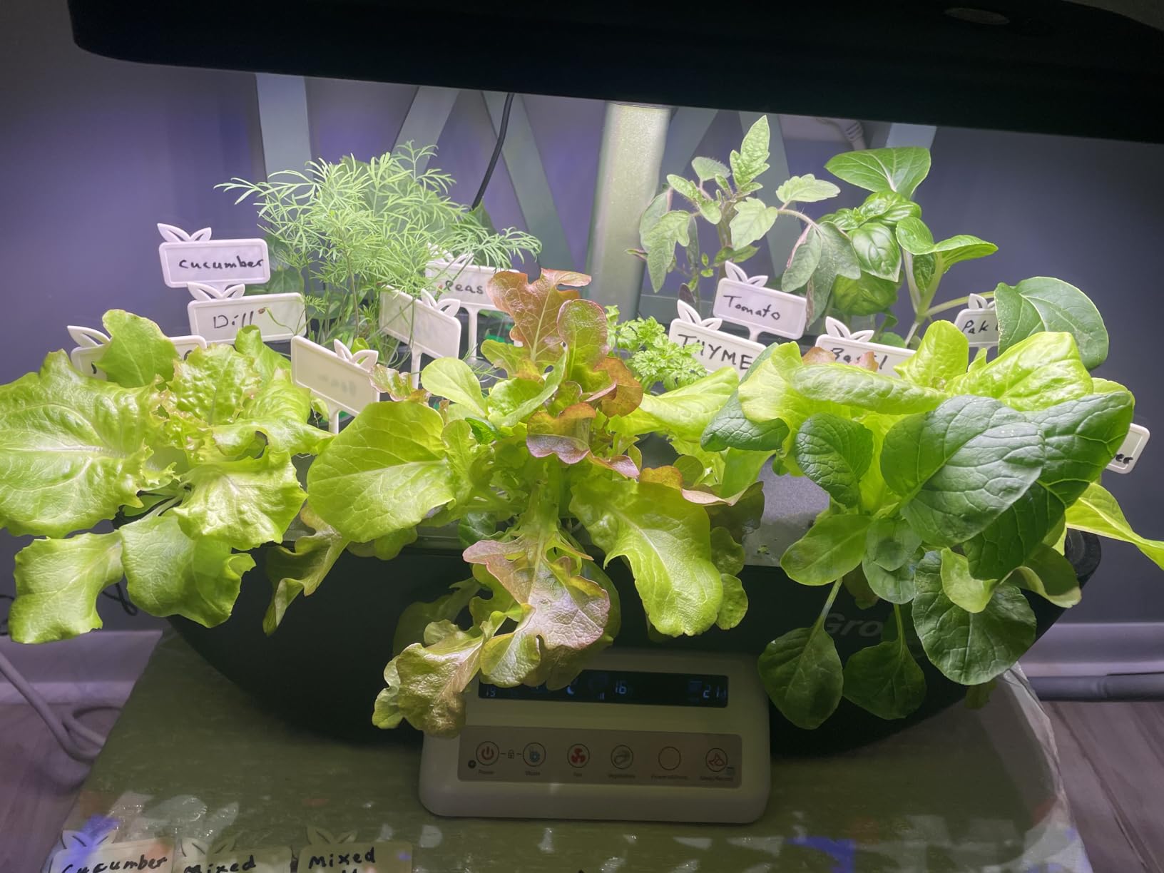 Growell 17 Pods Hydroponics Growing System Kit, Indoor Garden with 2 Fans customer photo 2