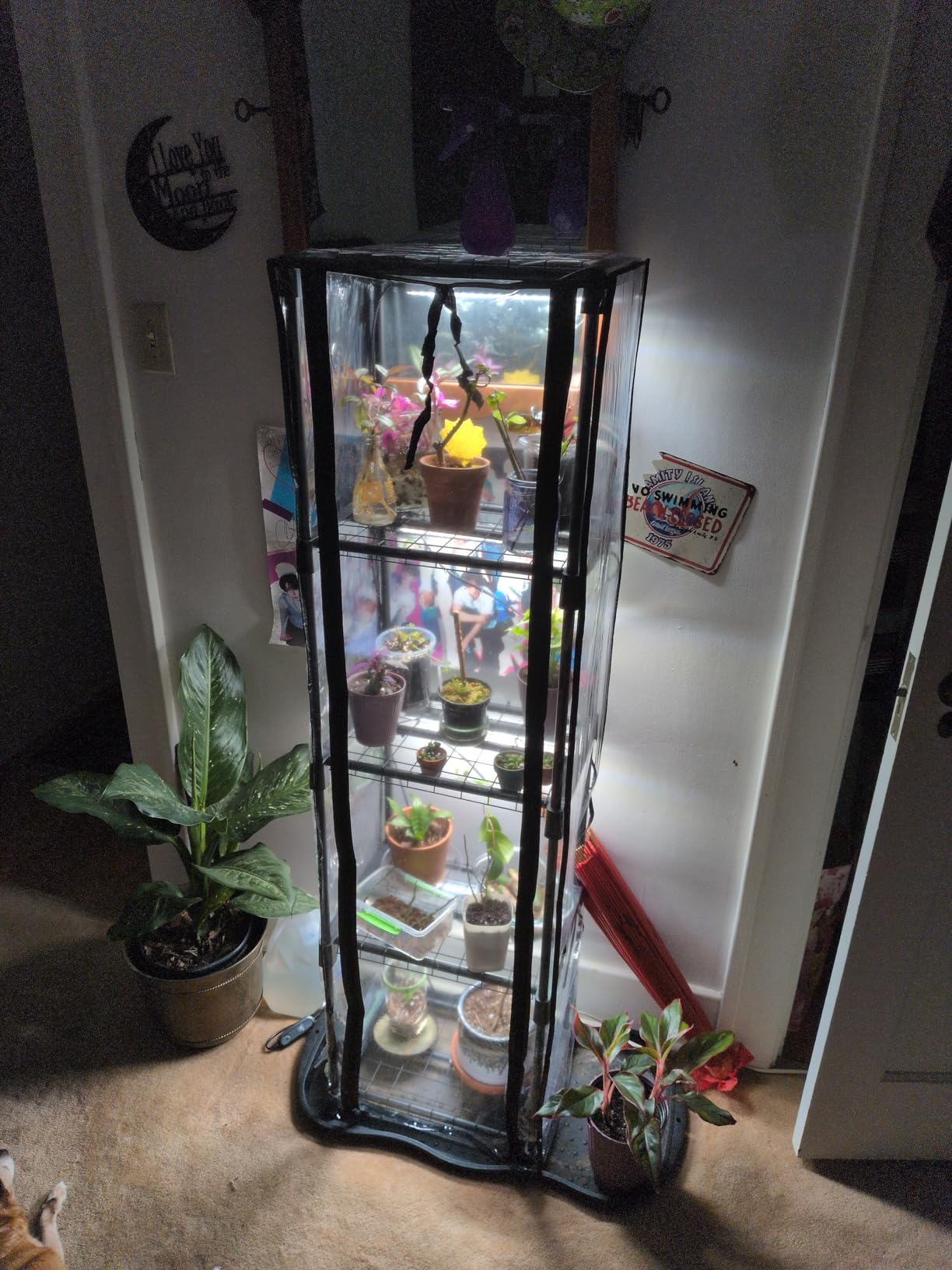 Indoor Greenhouse with Grow Lights, 11.8x15.7x59 customer photo 1