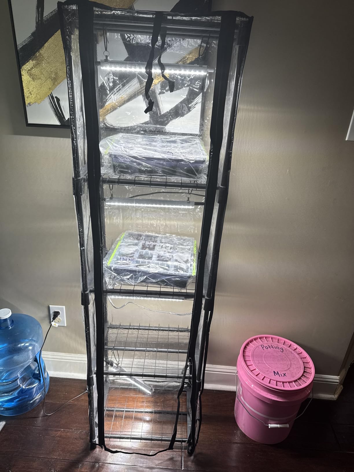 Indoor Greenhouse with Grow Lights, 11.8x15.7x59 customer photo 2