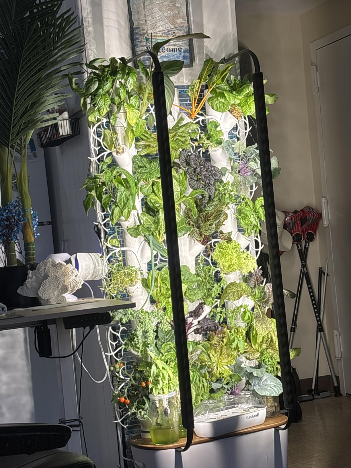 Gardyn Home 4 Vertical Hydroponics Growing System Kit - 30 Plants customer photo 1