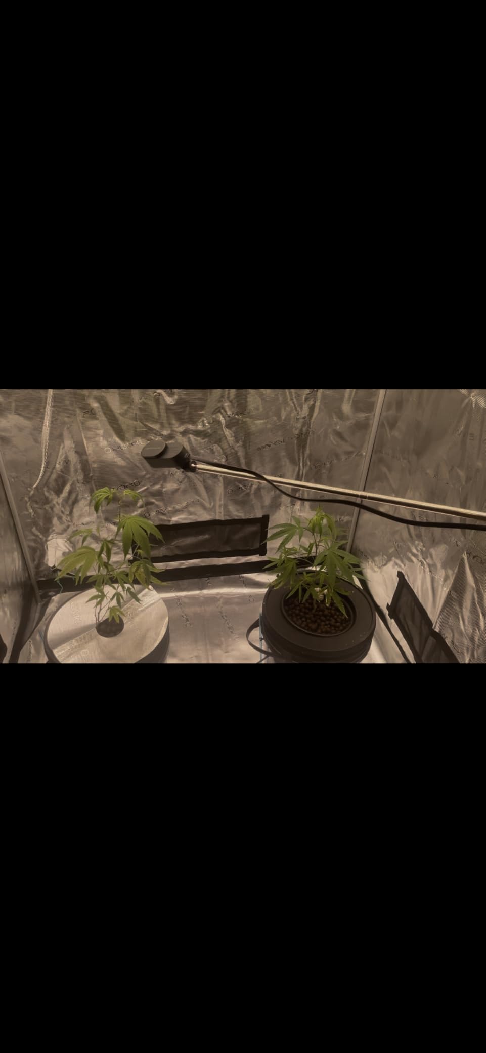 MARS HYDRO 4x4 Grow Tent Pro,48