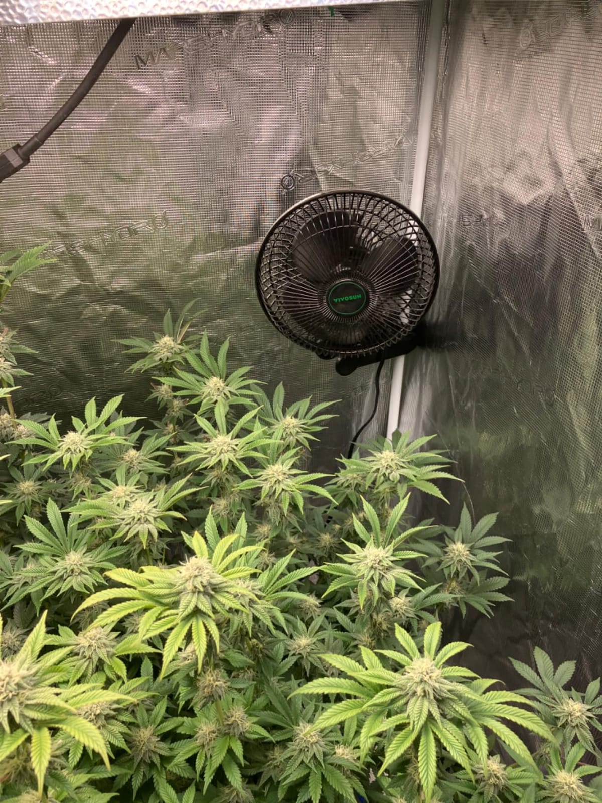 VIVOSUN AeroWave A6 Grow Tent Clip Fan, 6