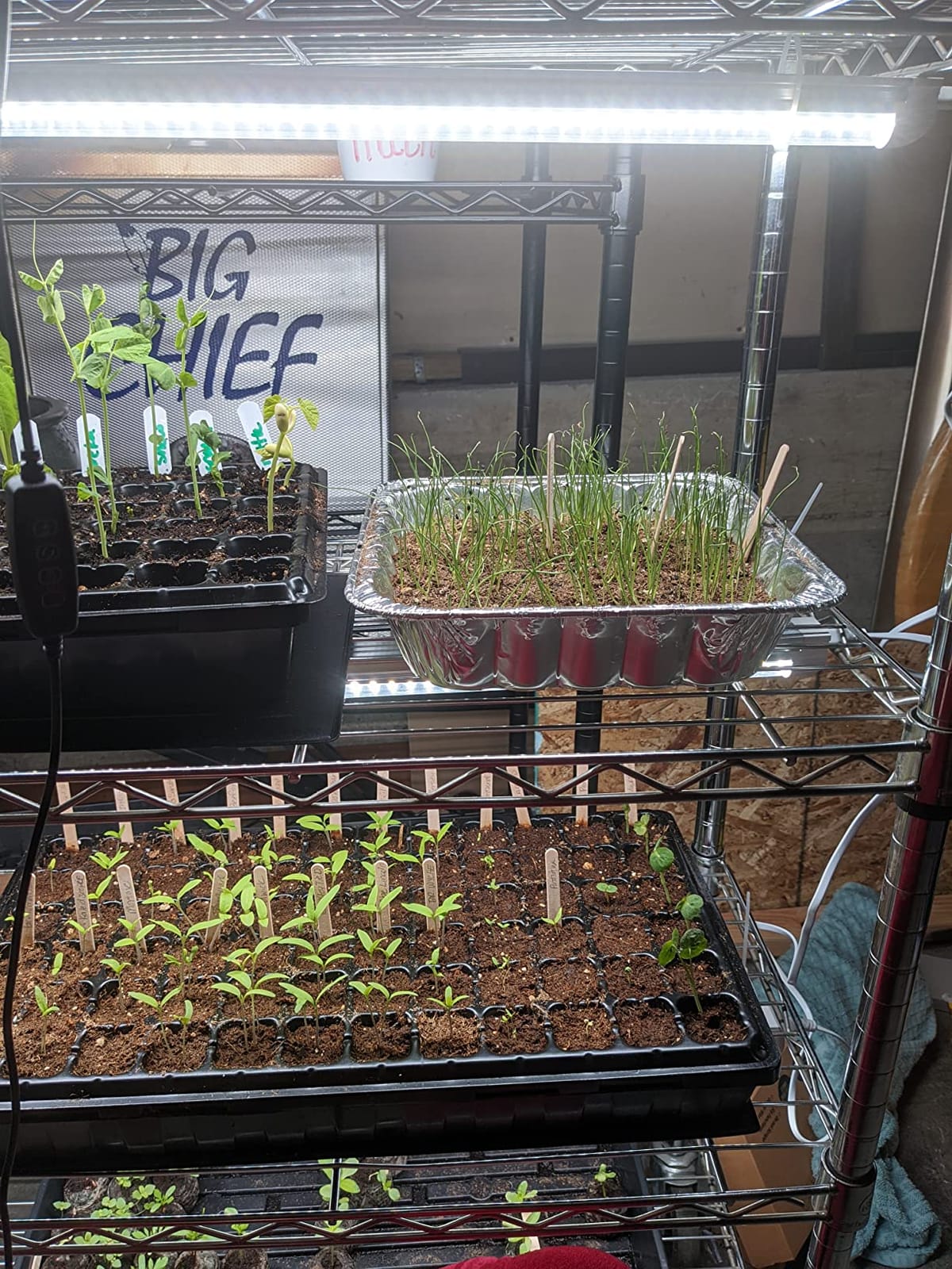 JESLED Indoor Greenhouse with Grow Light, 35.4x13.8x59IN customer photo 1
