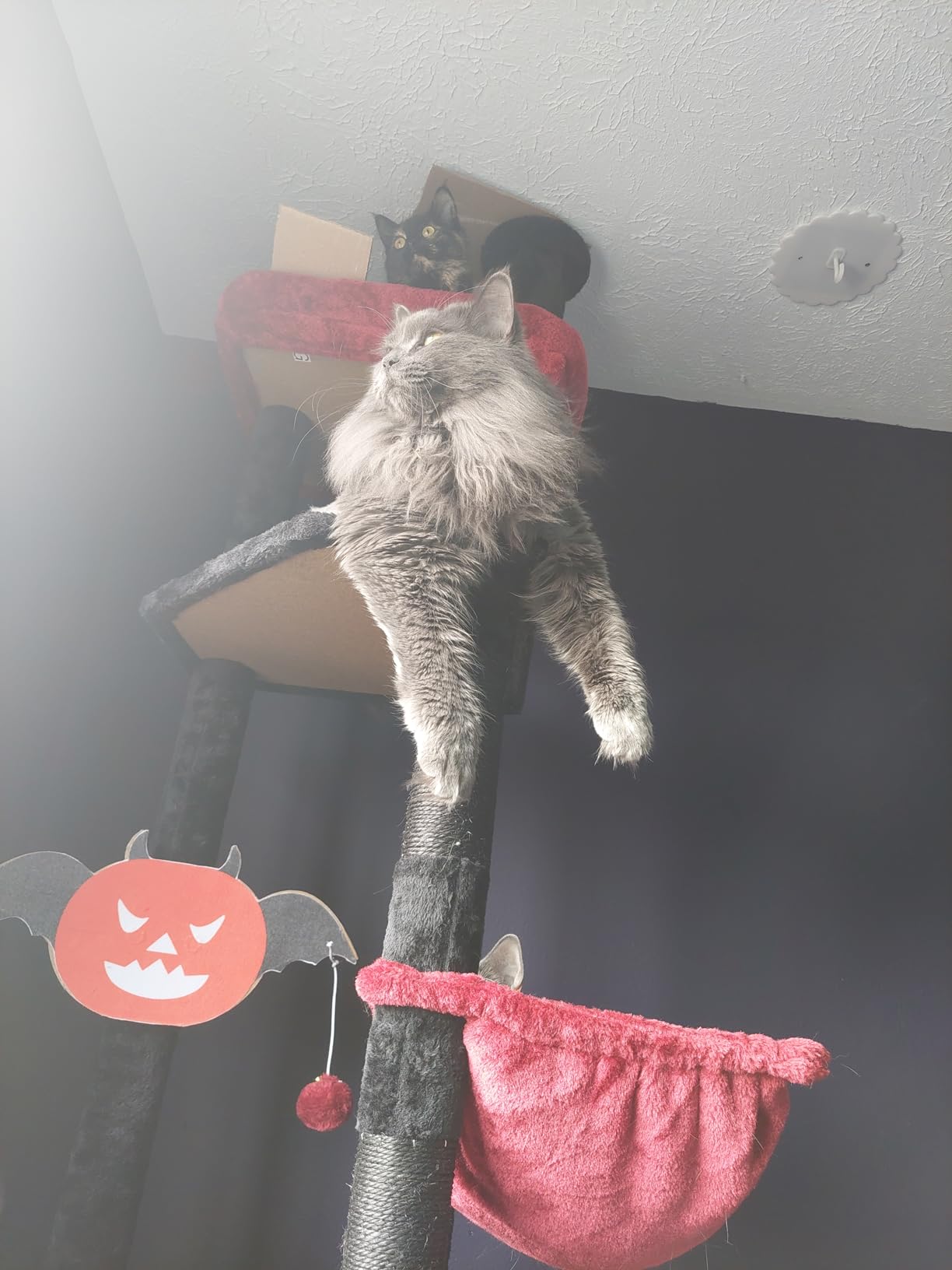 Heybly Floor to Ceiling Cat Tree, 104.7