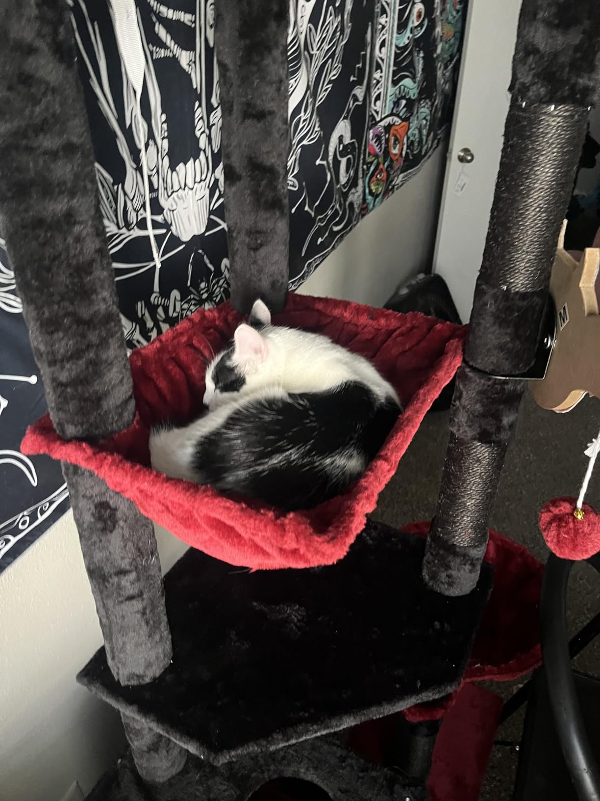 Heybly Floor to Ceiling Cat Tree, 104.7