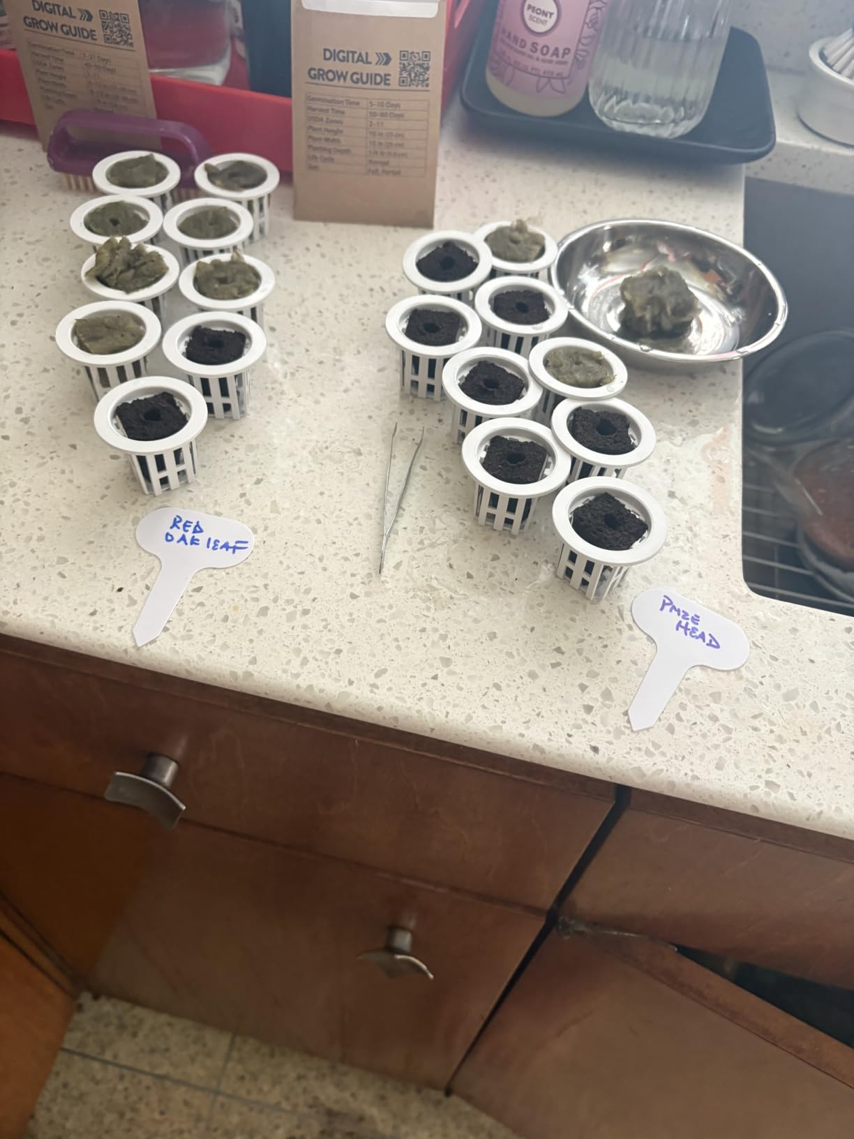 Large Hydroponics Growing System, 148-Pod Vertical Hydroponic Tower Garden customer photo 1