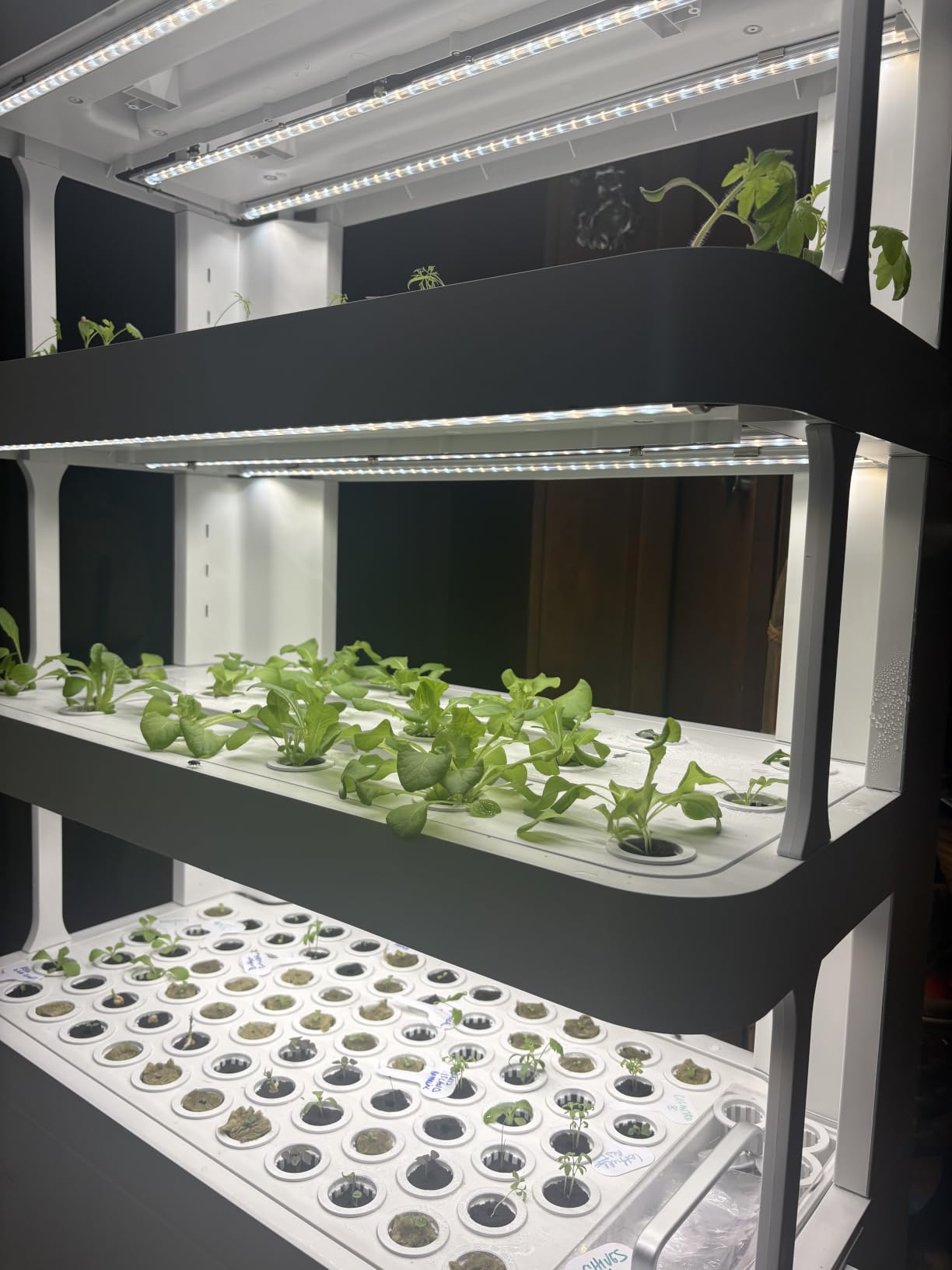 Large Hydroponics Growing System, 148-Pod Vertical Hydroponic Tower Garden customer photo 2