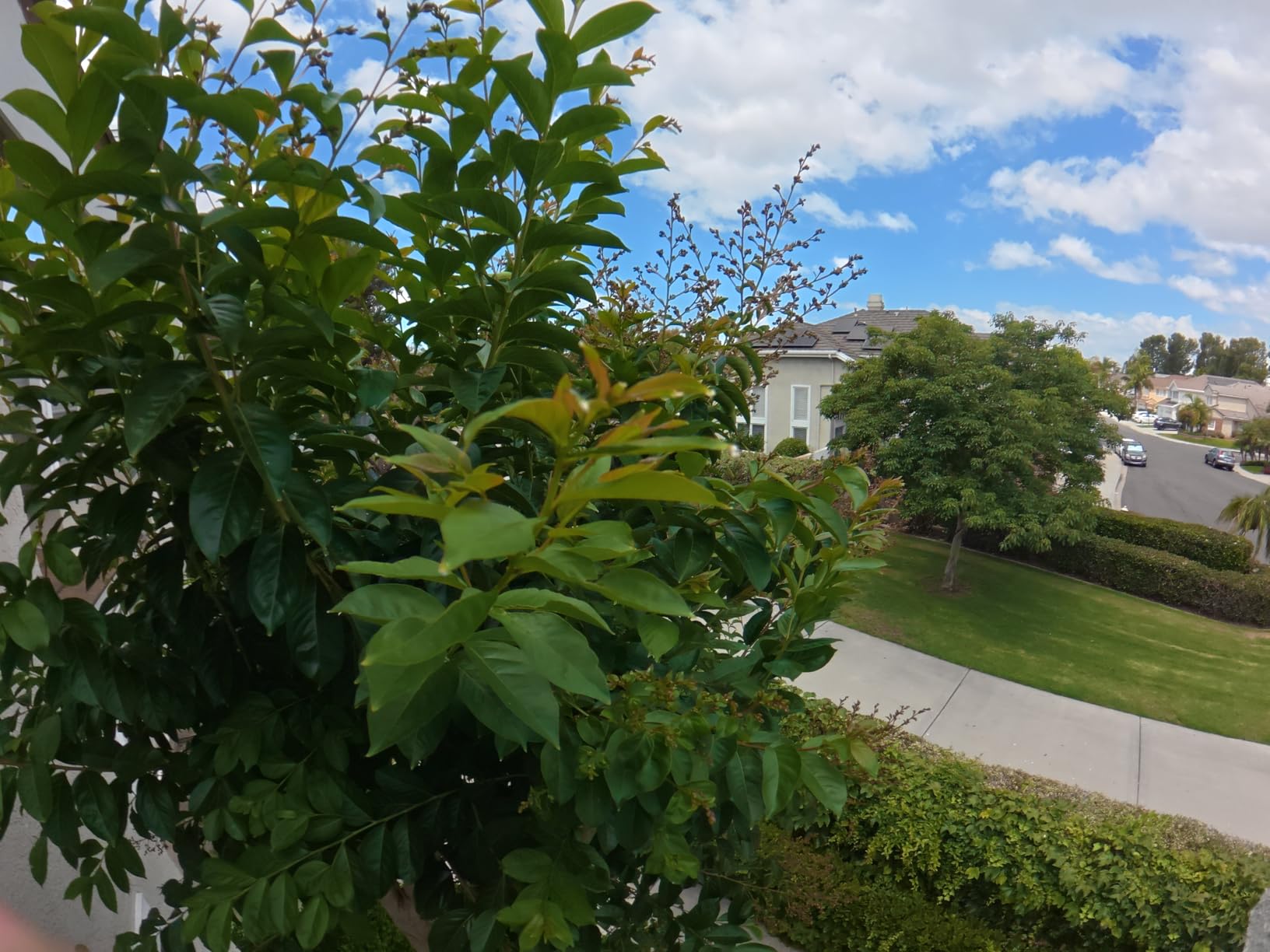 Xtra 360 Camera, 8K Panoramic Video, 1-Inch Sensor Equivalent, 100MP High Resolution customer photo 2