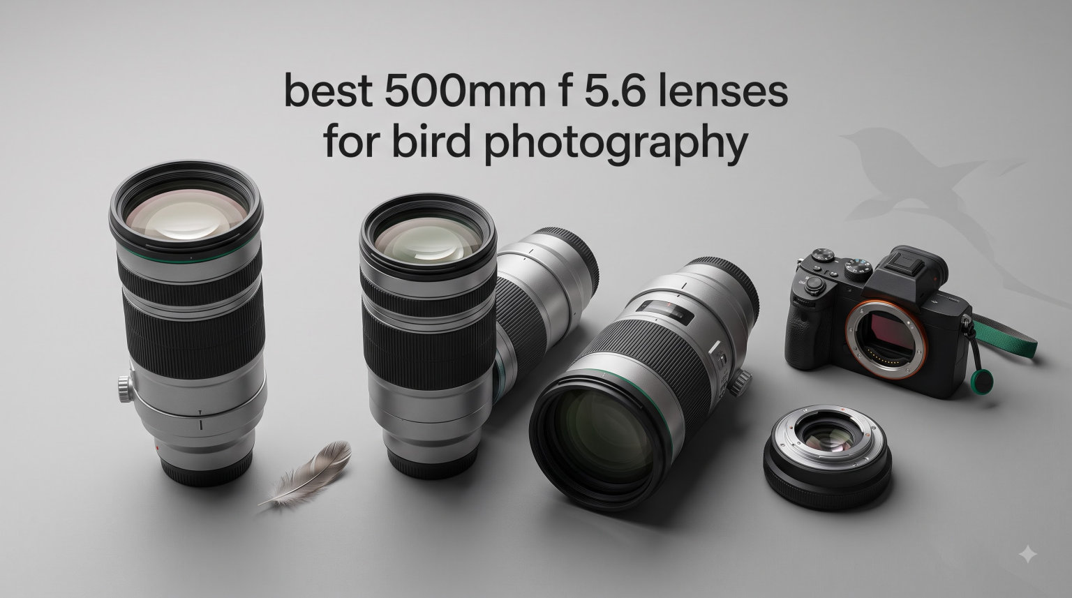best 500mm f 5.6 lenses for bird photography