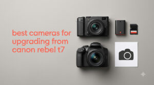 best cameras for upgrading from canon rebel t7