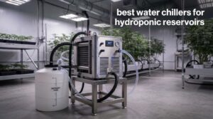 best water chillers for hydroponic reservoirs