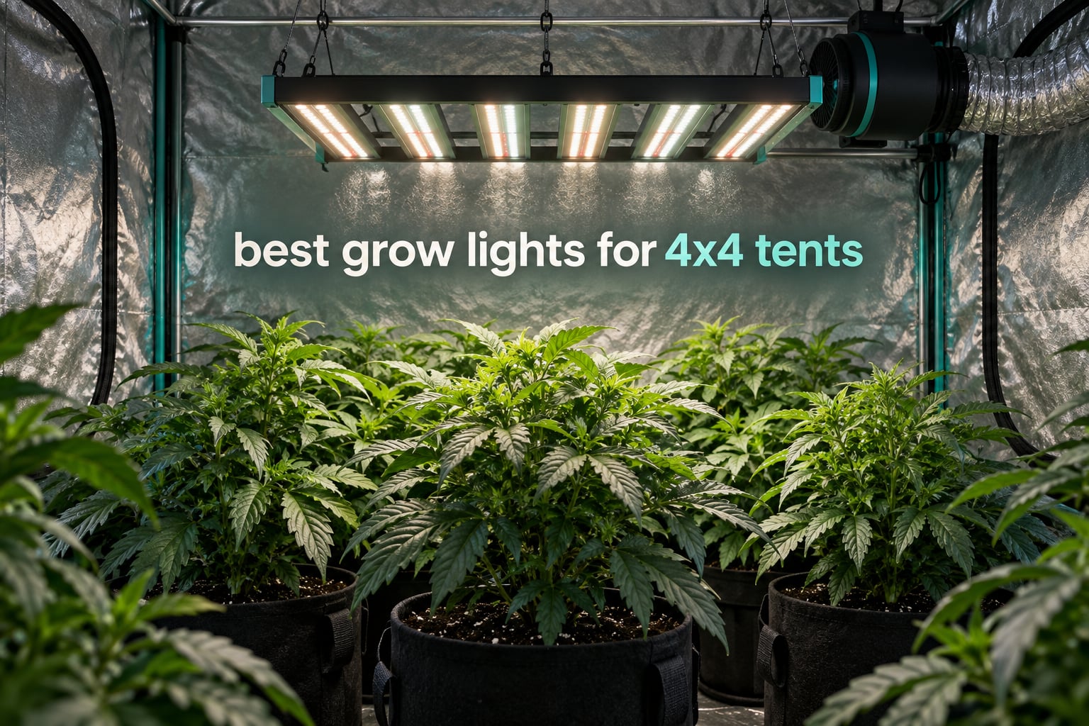best grow lights for 4x4 tents