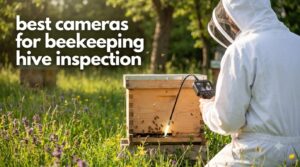 best cameras for beekeeping hive inspection
