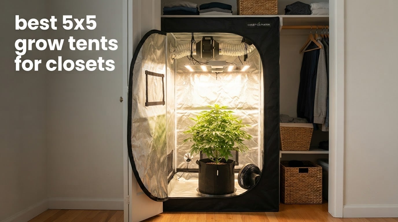 best 5x5 grow tents for closets