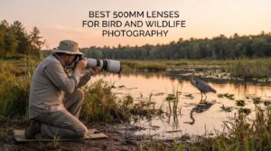 best 500mm lenses for bird and wildlife photography