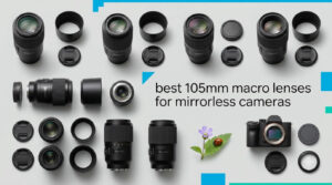 best 105mm macro lenses for mirrorless cameras