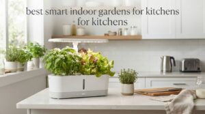 best smart indoor gardens for kitchens
