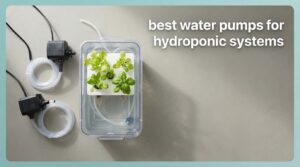 best water pumps for hydroponic systems