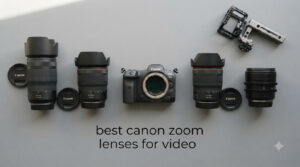 best canon zoom lenses for video