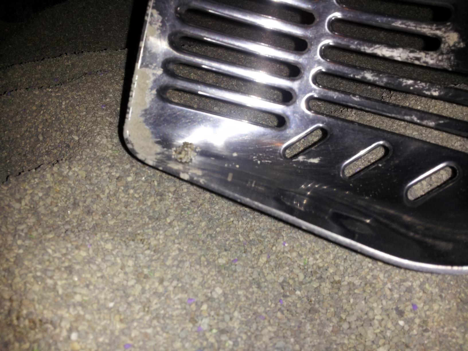 DuraScoop® Premium Multicat Cat Litter Scoop | Solid Metal | Litter Box Tray Pan Sifter customer photo 2
