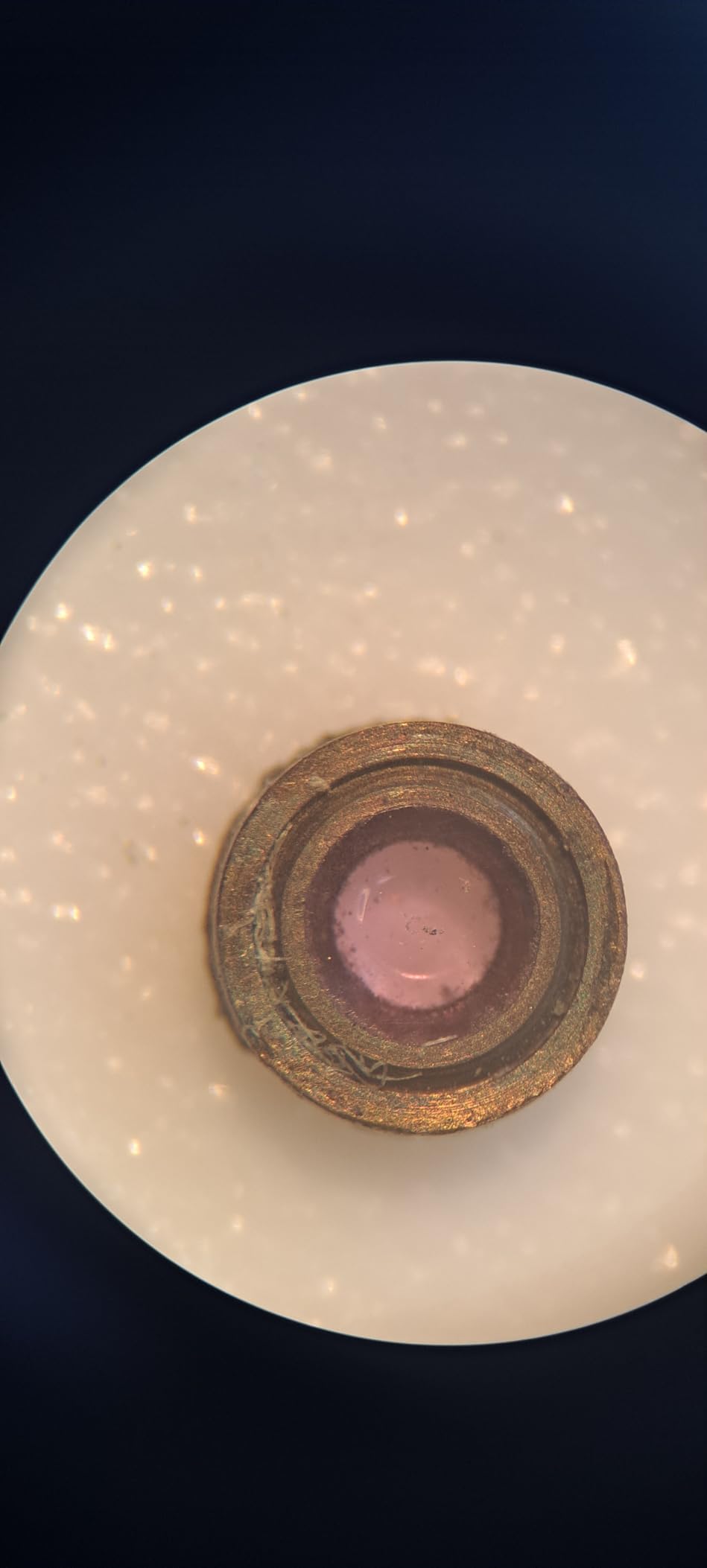 AmScope SE306R-PZ Forward Binocular Stereo Microscope, WF10x and WF20x customer photo 2