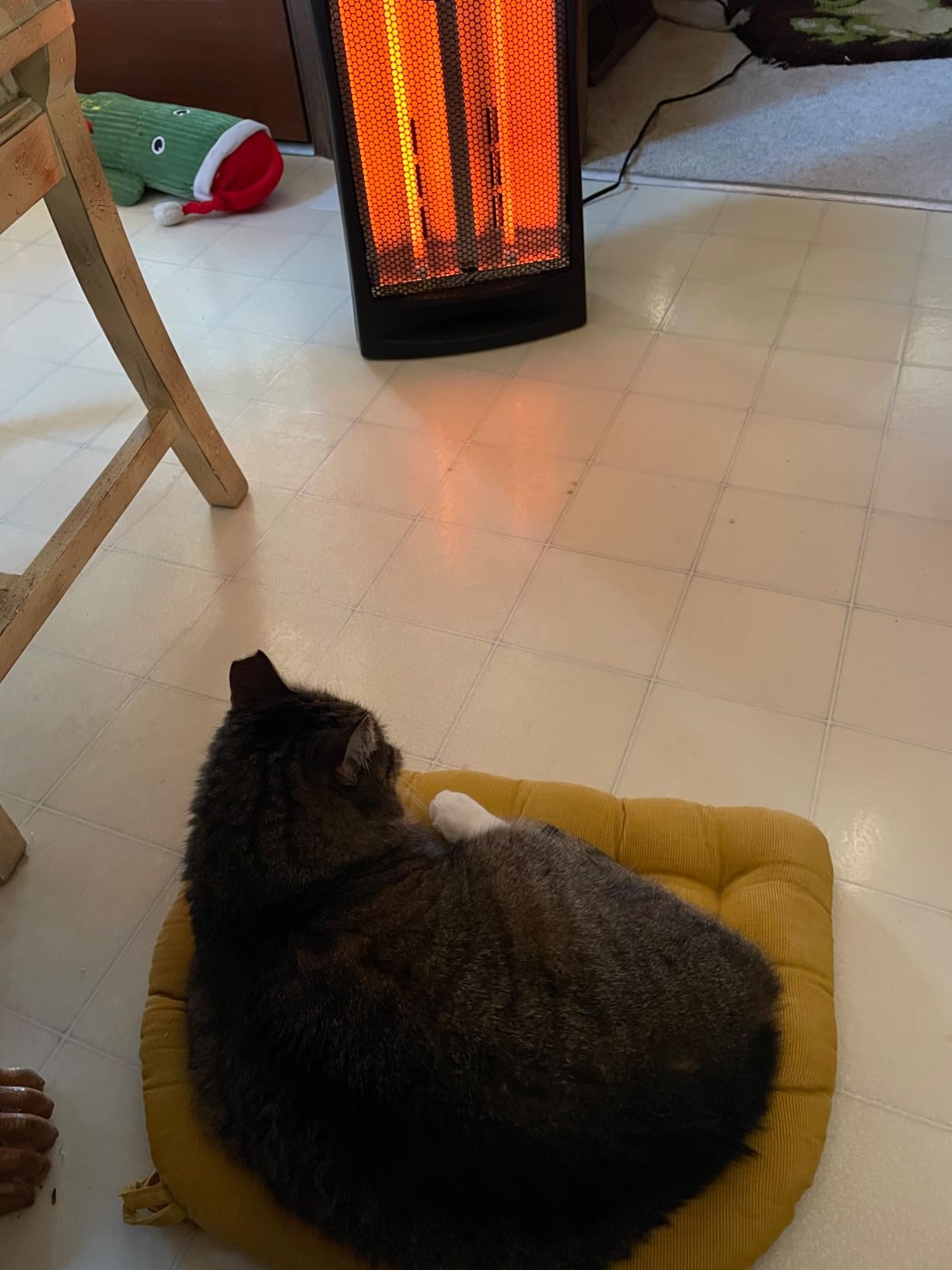 Comfort Zone Space Heaters for Indoor Use, Portable Electric Heater, Adjustable Thermostat, Infrared Heat, Quartz Tower Space Heater with 2 Heat Settings, Bedroom Heater, Black customer photo 1