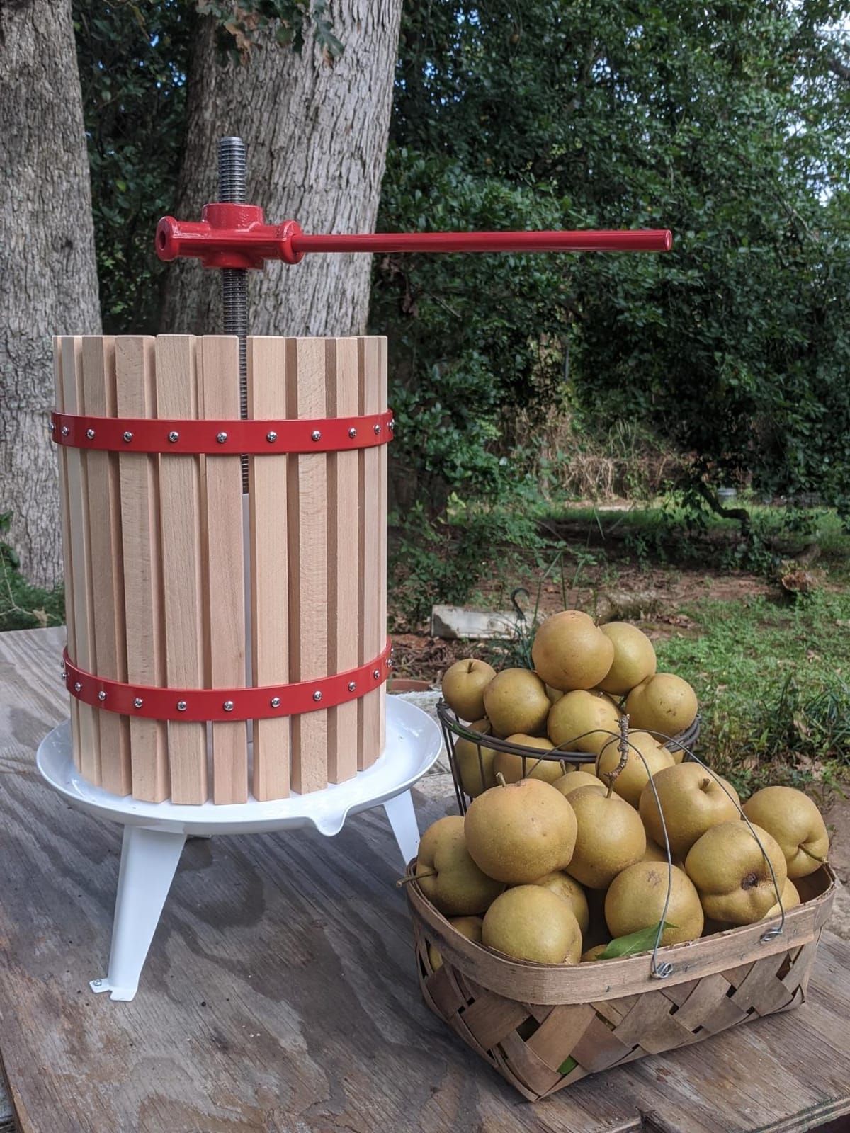 it's useful. 4.75 Gallon Solid Wood Basket Fruit, Cider and wine Press Old Fashioned Cast Iron Large Size customer photo 2