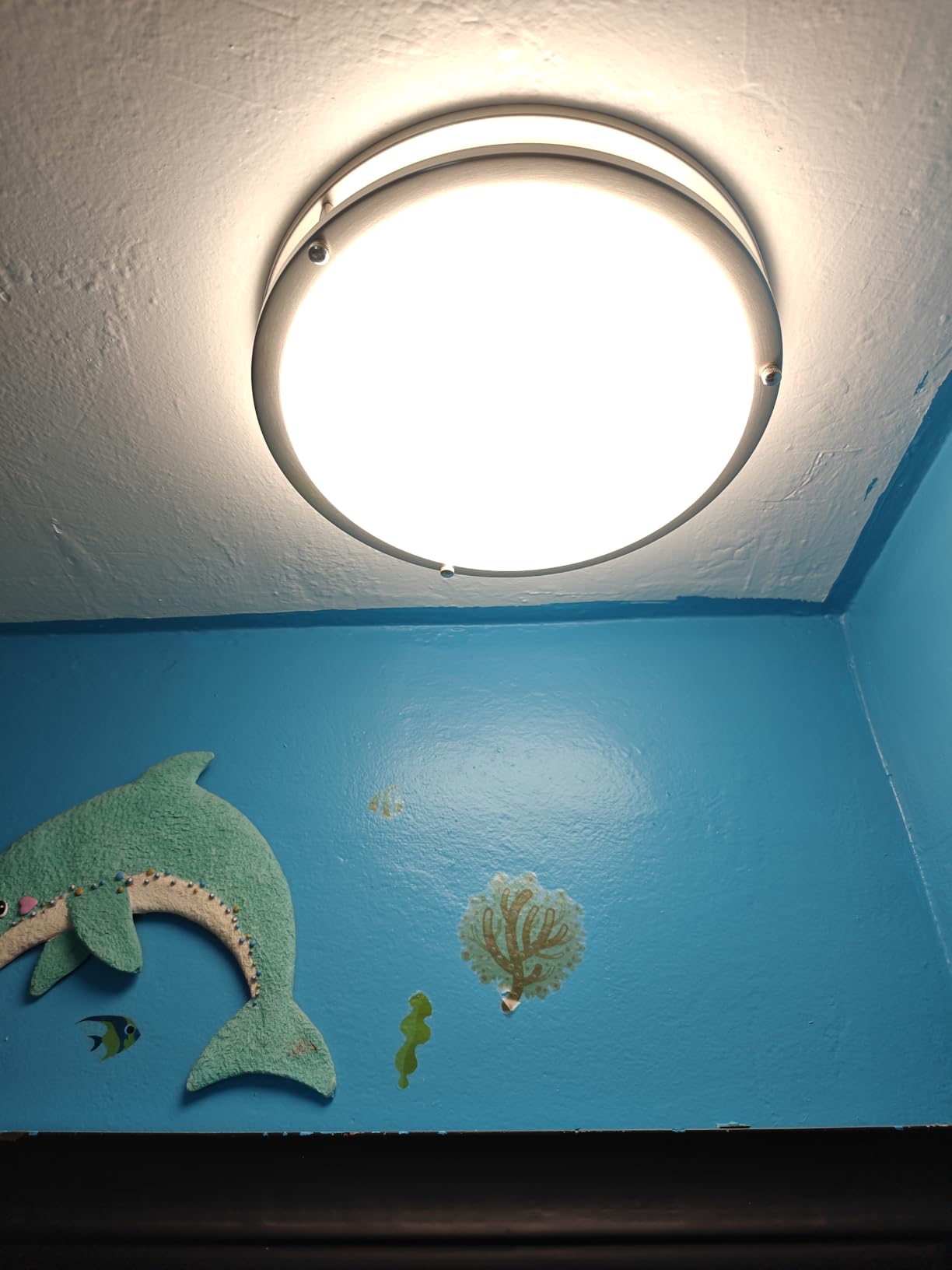 hykolity 13 inch Flush Mount LED Ceiling Light Fixture,5CCT customer photo 1