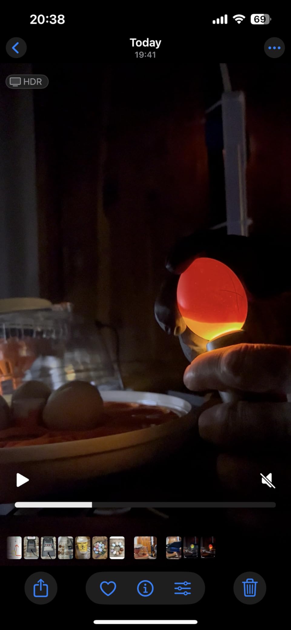 Incu-Bright™ Ultra Bright LED Egg Candler - Portable Light for All Egg Size customer photo 1