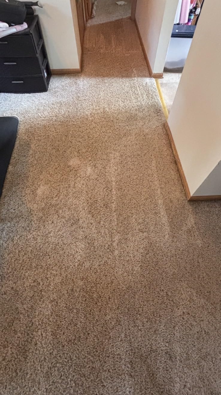 Hoover PowerDash Pet Compact Carpet Cleaner Machine, Lightweight Design customer photo 1