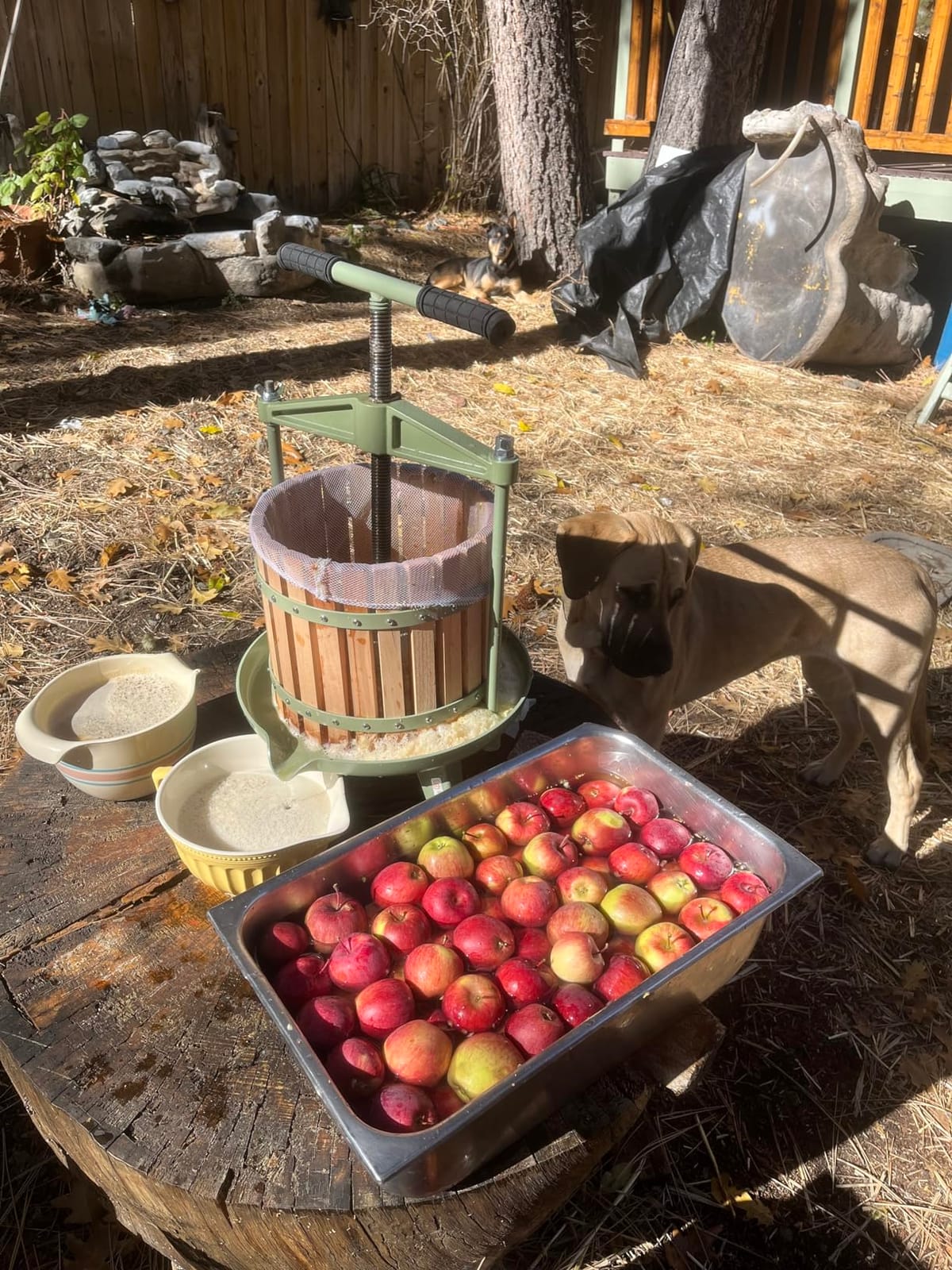 SQUEEZE master Fruit Wine Cider Press - Solid Wood Basket- 4.75 Gallon/18L-T Handle Bar-More Stable-Vintage traditional juicer,Apple Grape Fruit press for Juice Maker-1 free filter bag included(Red) customer photo 1