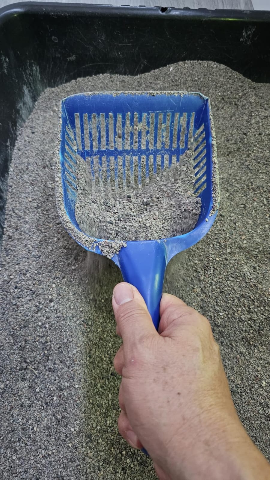 Qualiall All Metal Litter Scoop, Solid Metal Sifter, Cat Litter Scoop Metal Jumbo, Cat Urine Scoop, Litter Scooper with Holder, Litter Scooper Holder, Jumbo Cat Litter Scoop Sifter Scooper Holder customer photo 1