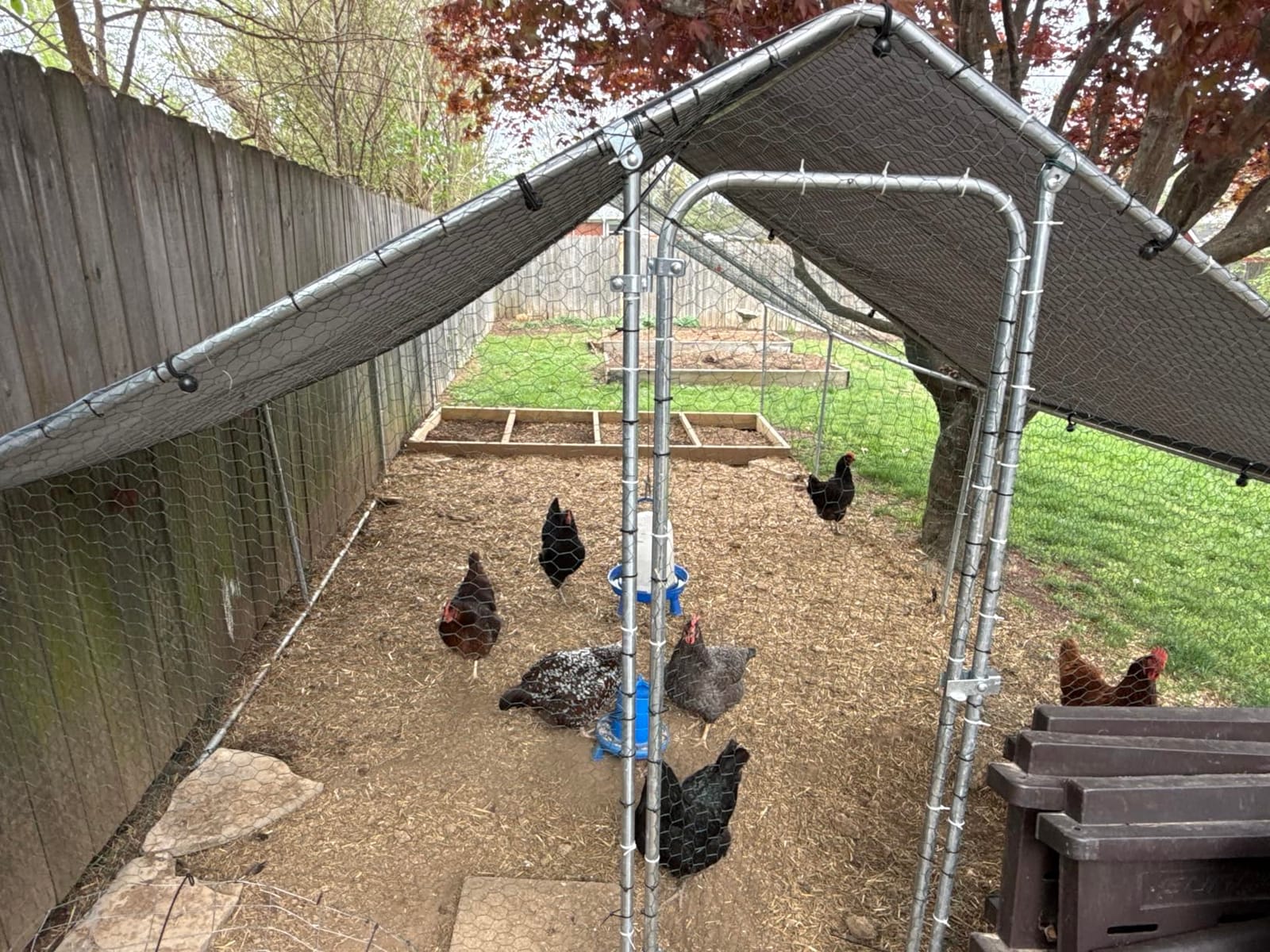 LEMBERI 20x10 FT Extra Large Metal Chicken Coop, Walk-in Run customer photo 2