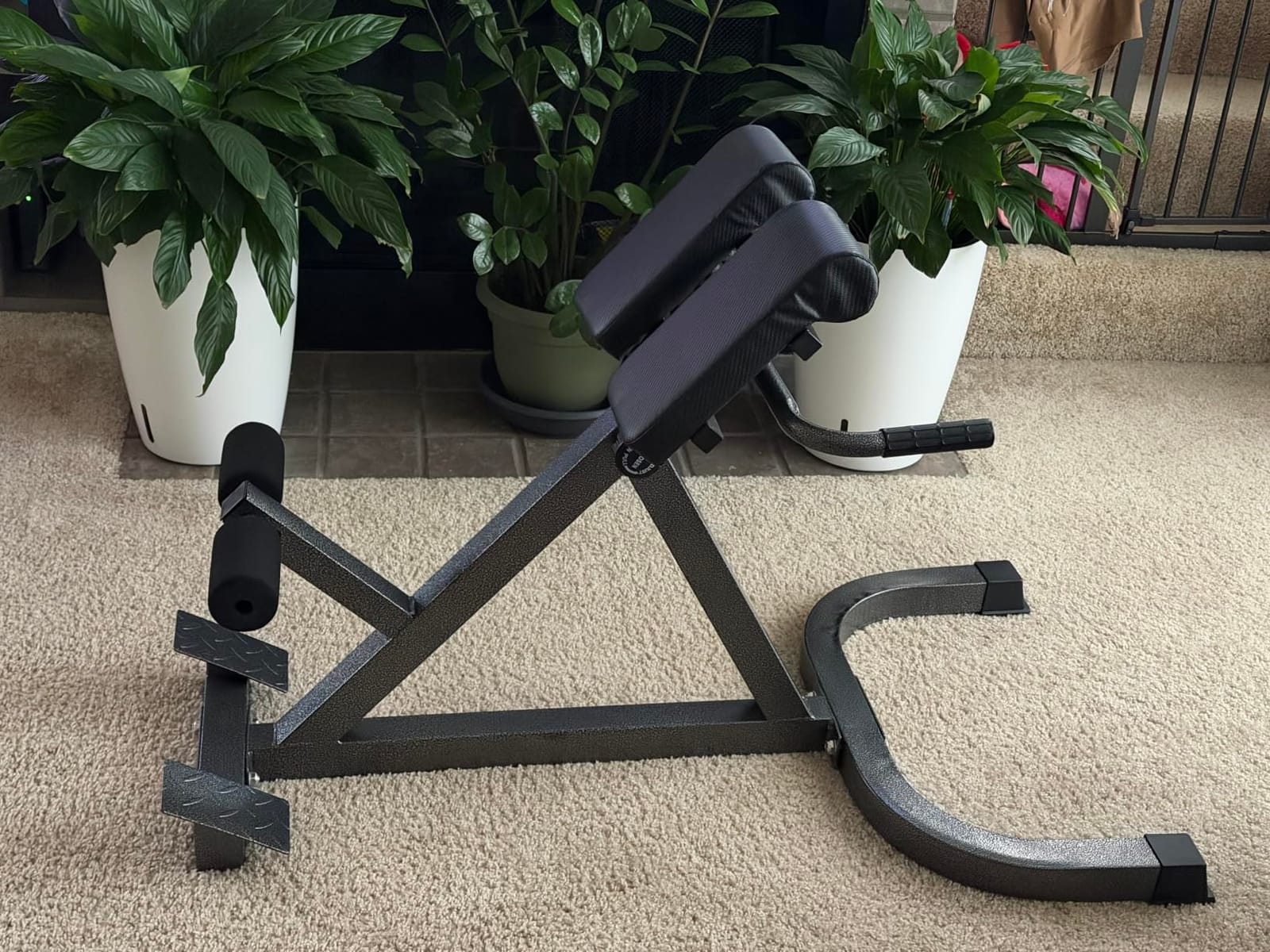 Roman Chair Back Extension Machine, Height & Angle Adjustable customer photo 1