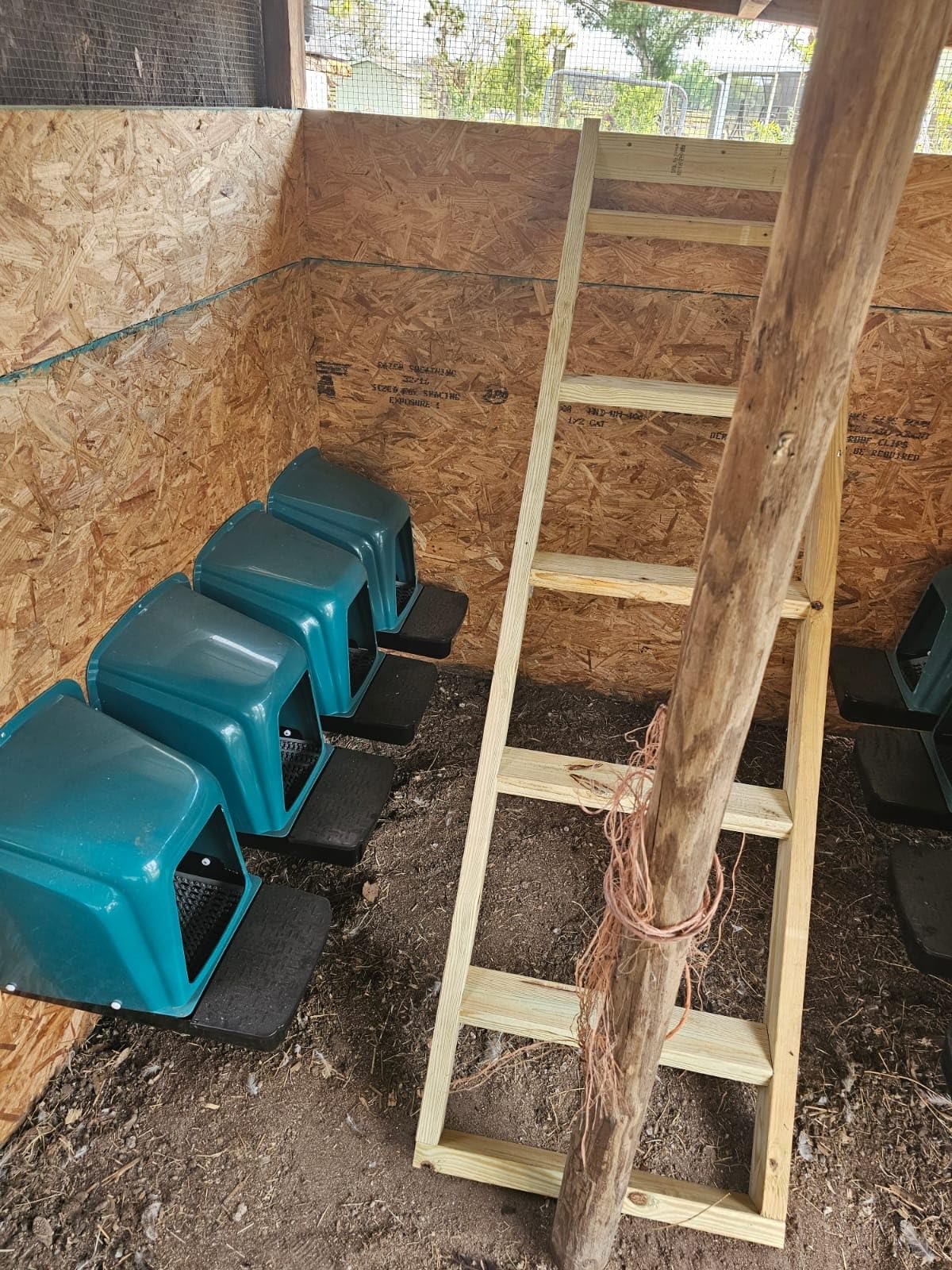 Chicken Nesting Boxes Chicken Laying Boxes with Egg Roll Out Nesting Boxes for Chickens Coop Nest Box Large, Easy to Install, Waterproof and Durable (Red, 6 Pack) customer photo 1
