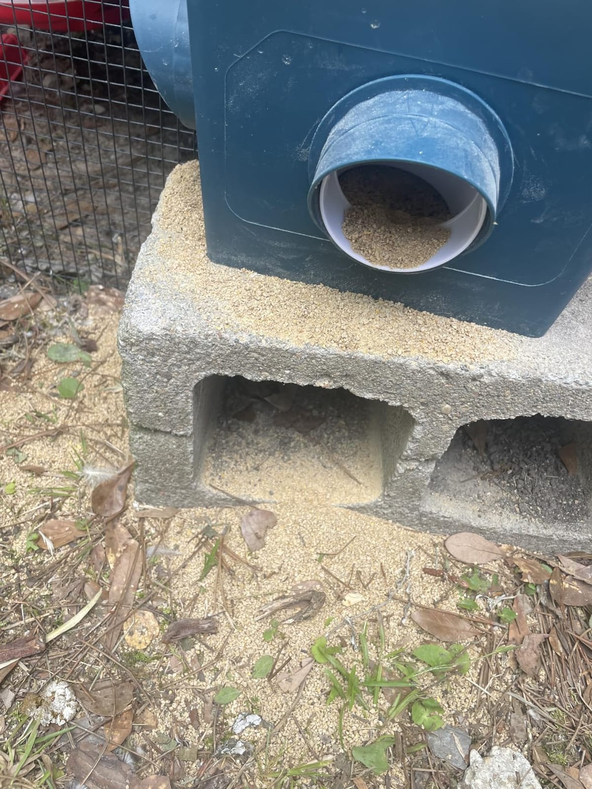 Automatic Port Chicken Feeder and Cup Waterer Set customer photo 2