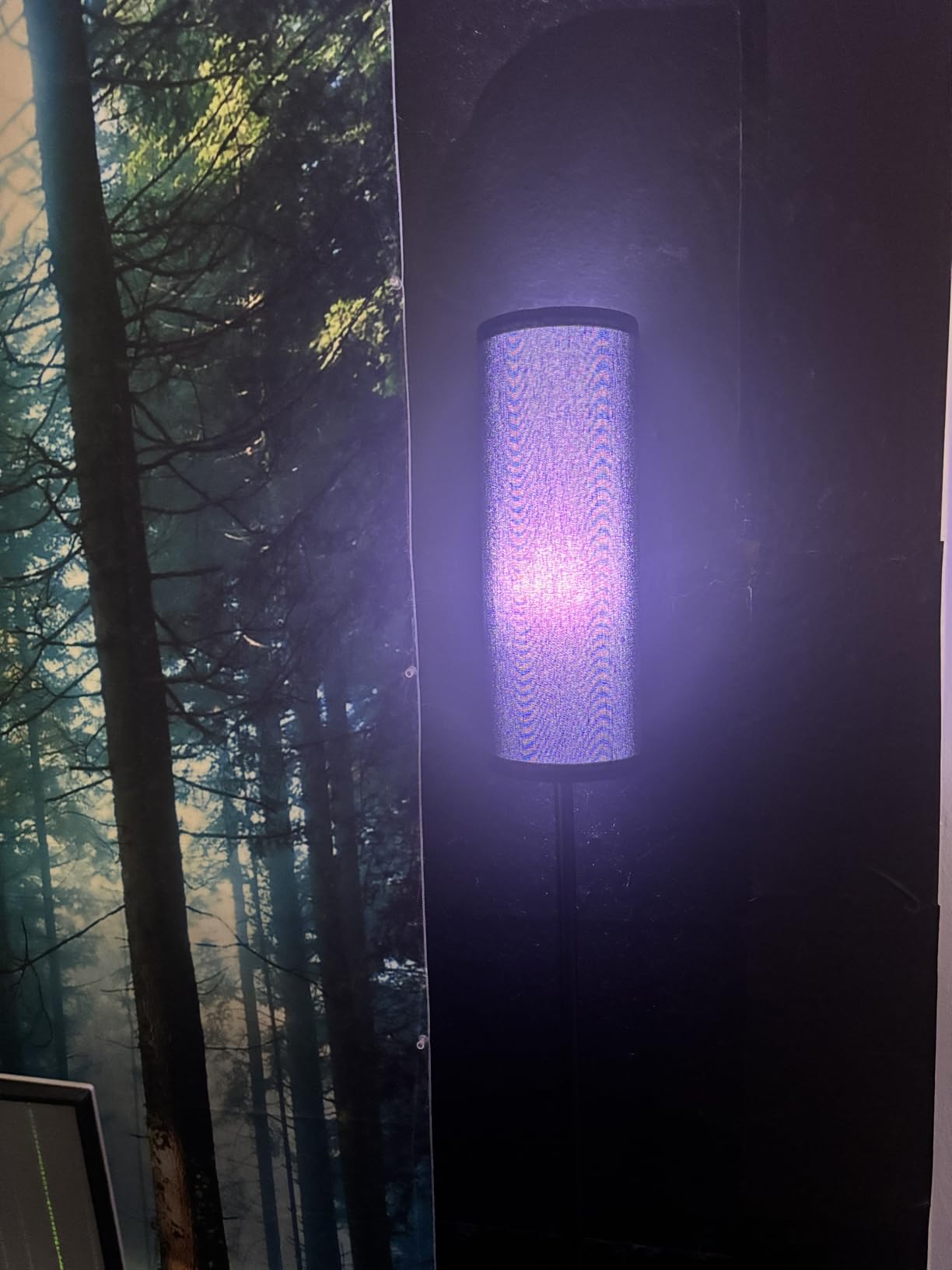 FRIDEKO HOME Floor Lamp, 9W 800LM Color Changing Smart Bulb, Beige Shade customer photo 2